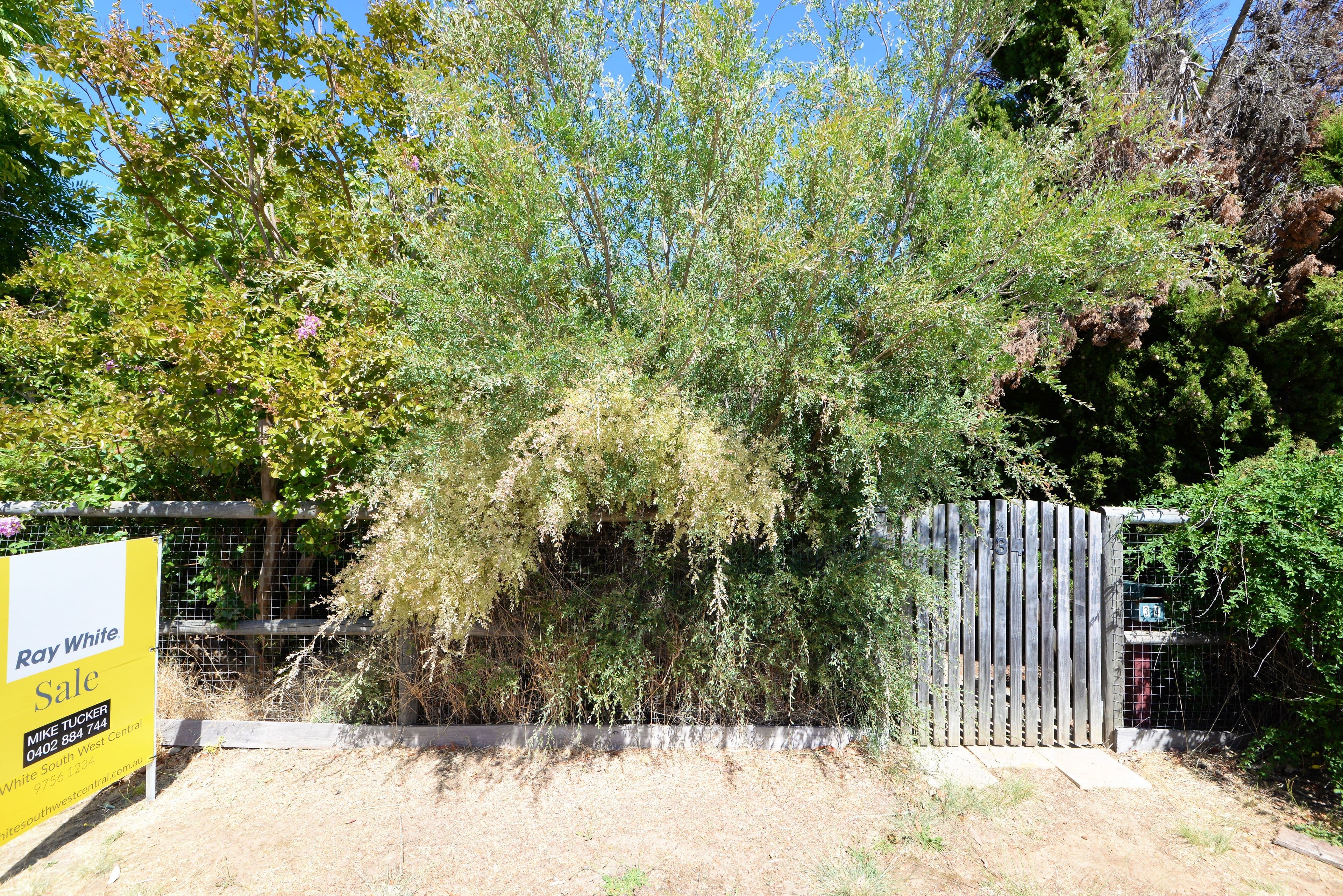 34 Walter Street, Nannup WA 6275, Nannup - Thumbnail 3