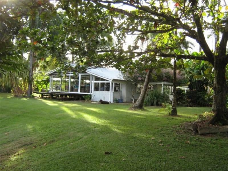 Lot 133 Daintree River, DAINTREE QLD 4873, Lower Daintree - Thumbnail 4