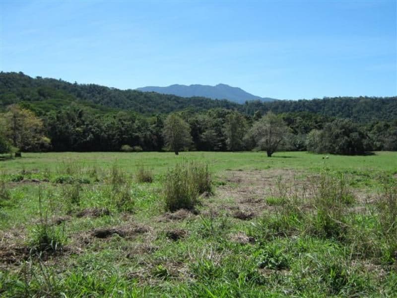 Lot 133 Daintree River, DAINTREE QLD 4873, Lower Daintree - Thumbnail 8