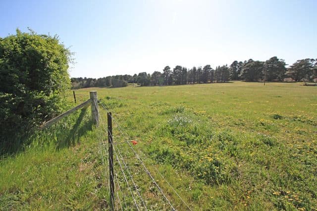1169 Mount Fairy Road, BUNGENDORE NSW 2621, Bungendore - Thumbnail 7