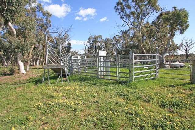 1169 Mount Fairy Road, BUNGENDORE NSW 2621, Bungendore - Thumbnail 8