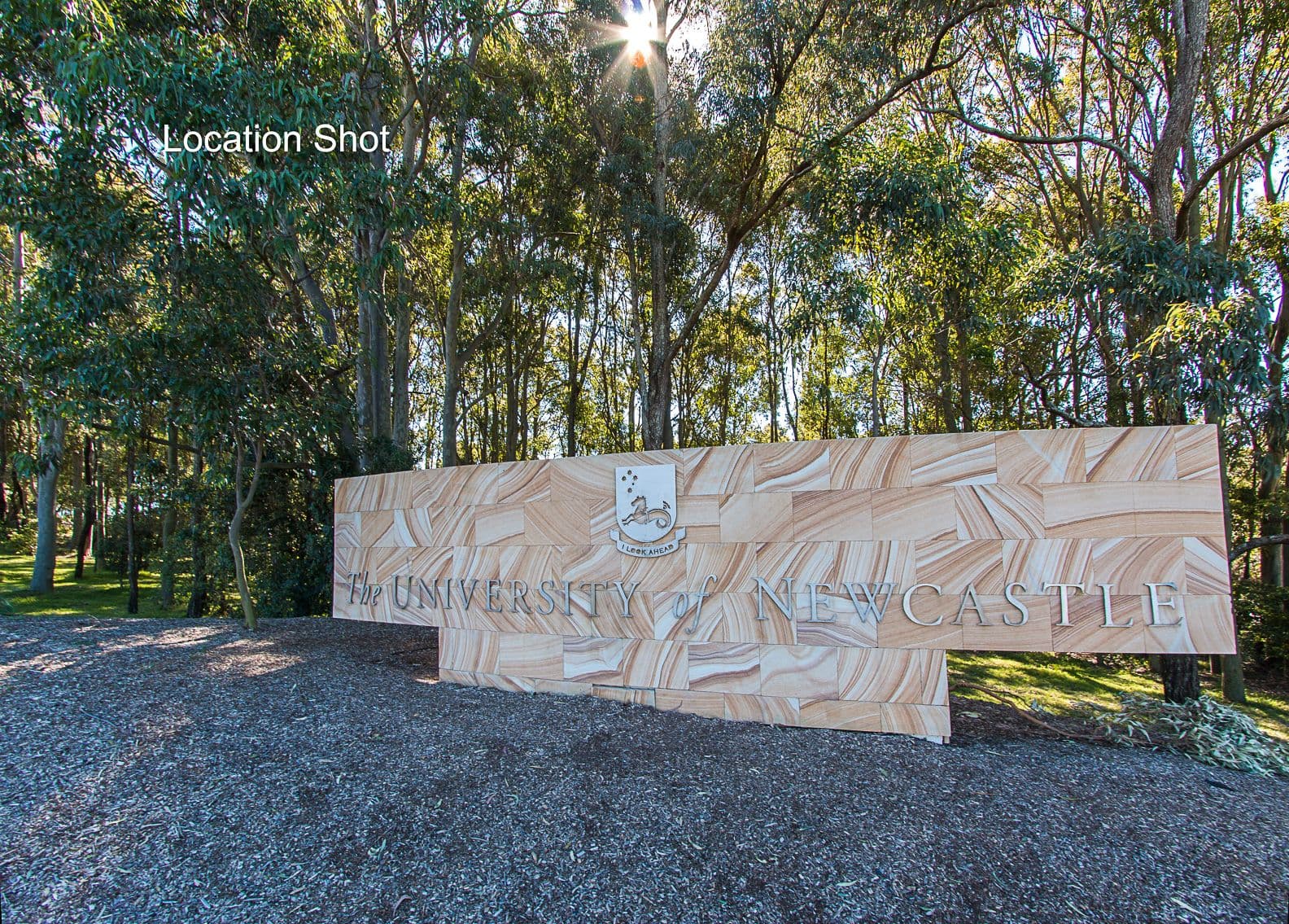 52 Victory Parade, Wallsend NSW 2287, Wallsend - Thumbnail 5