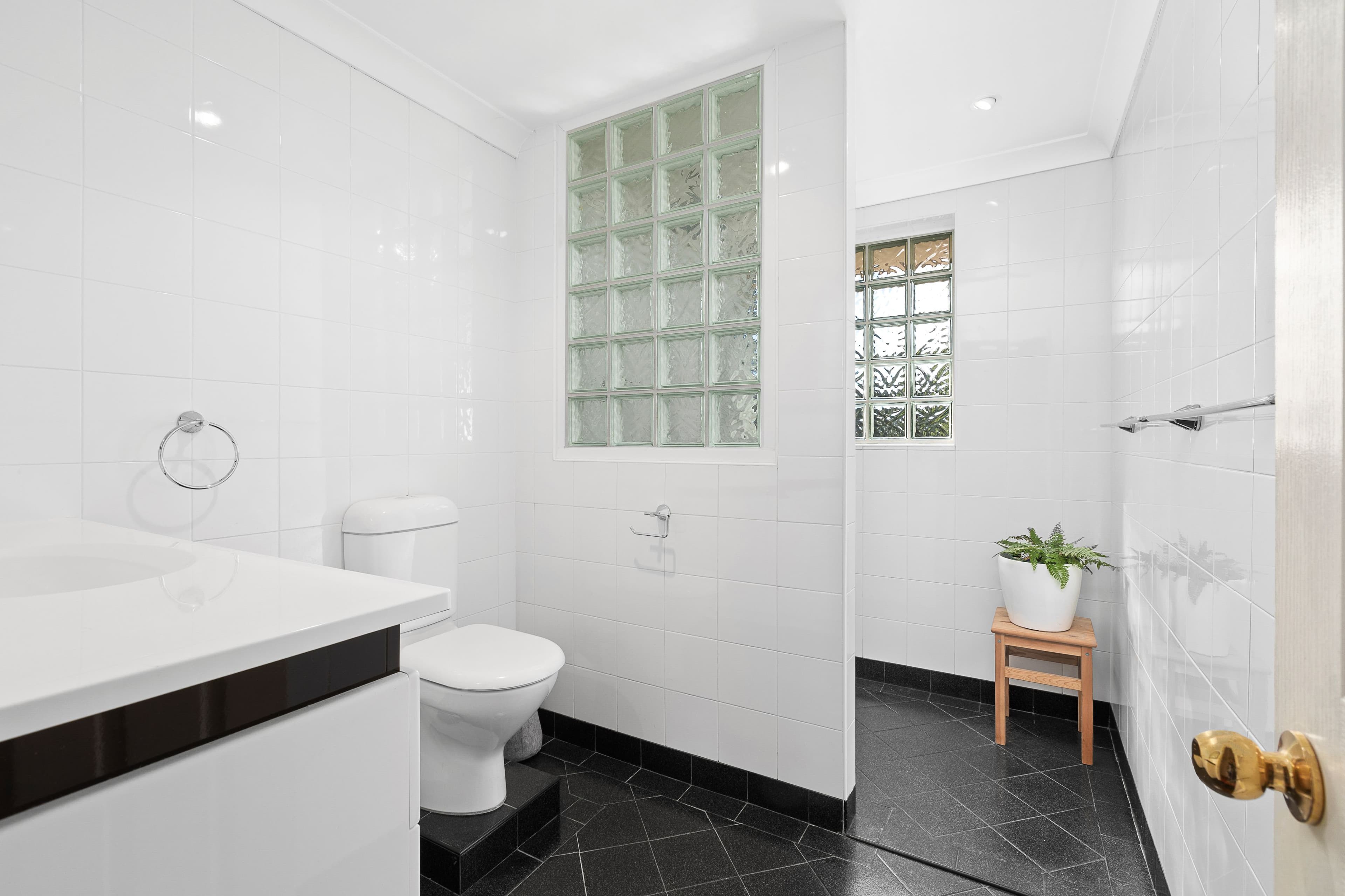 8 Higginbotham Road, Gladesville NSW 2111, Gladesville - Thumbnail 7