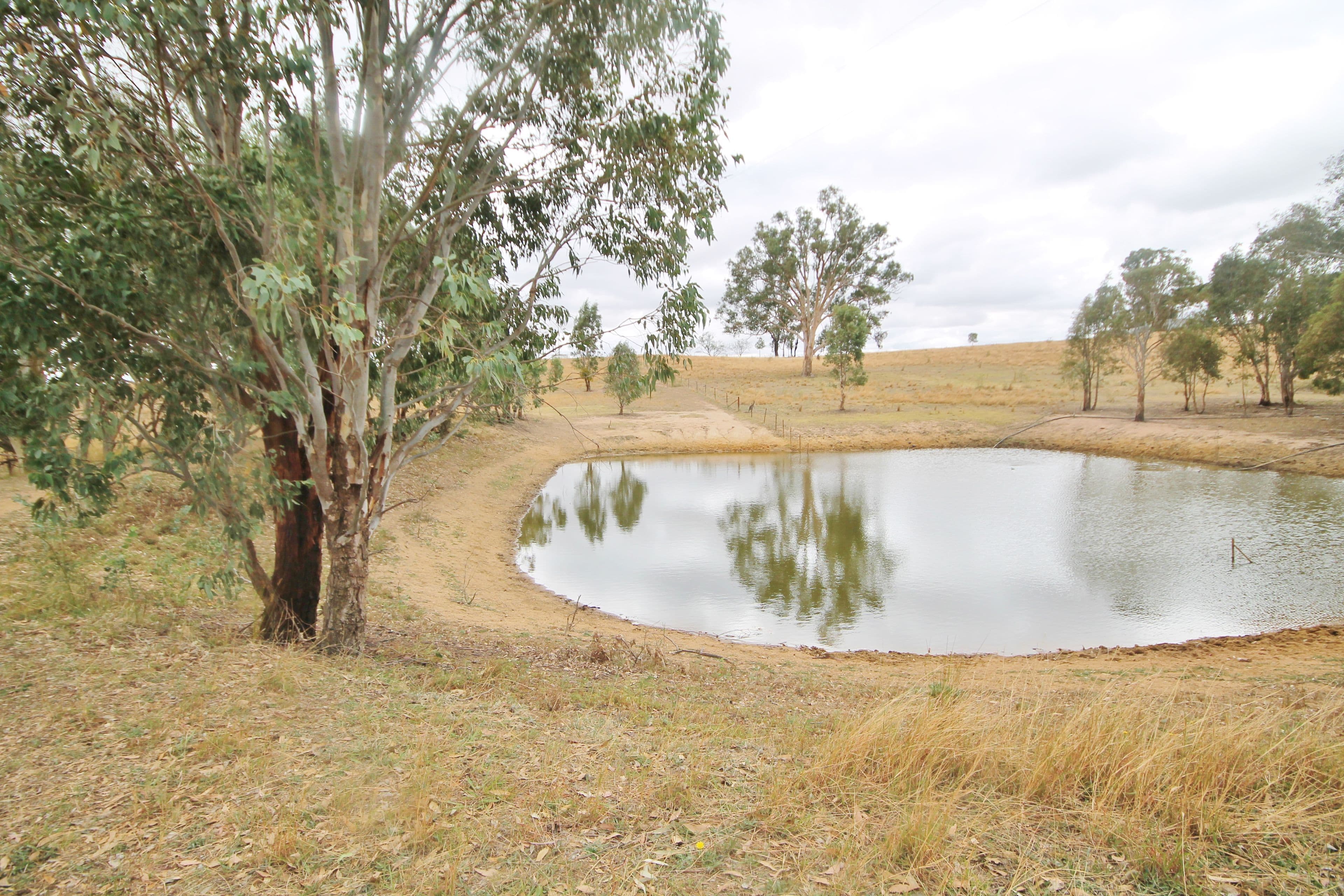 655 Olympic Highway, Young NSW 2594, Young - Image 1