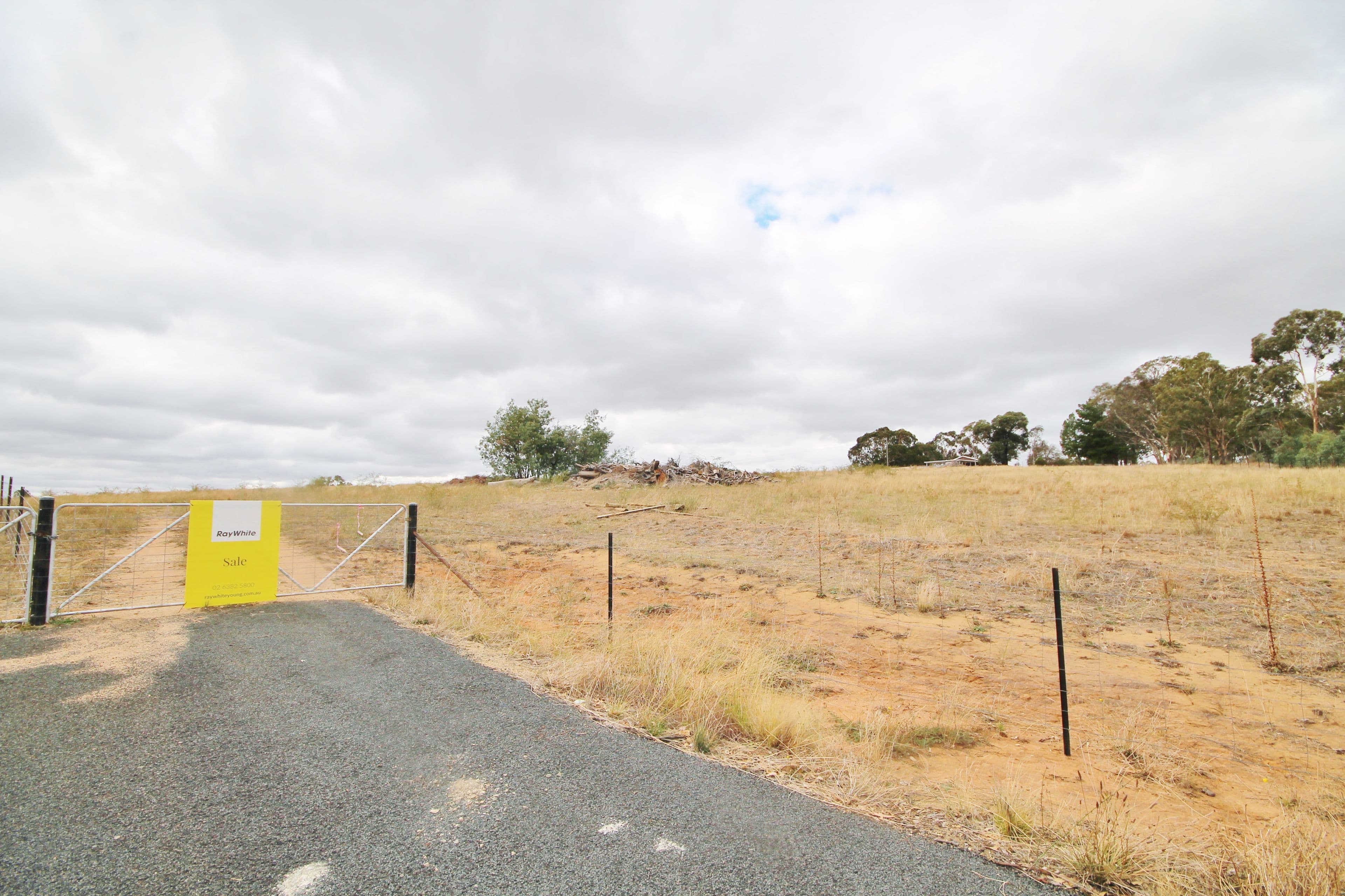 655 Olympic Highway, Young NSW 2594, Young - Thumbnail 2