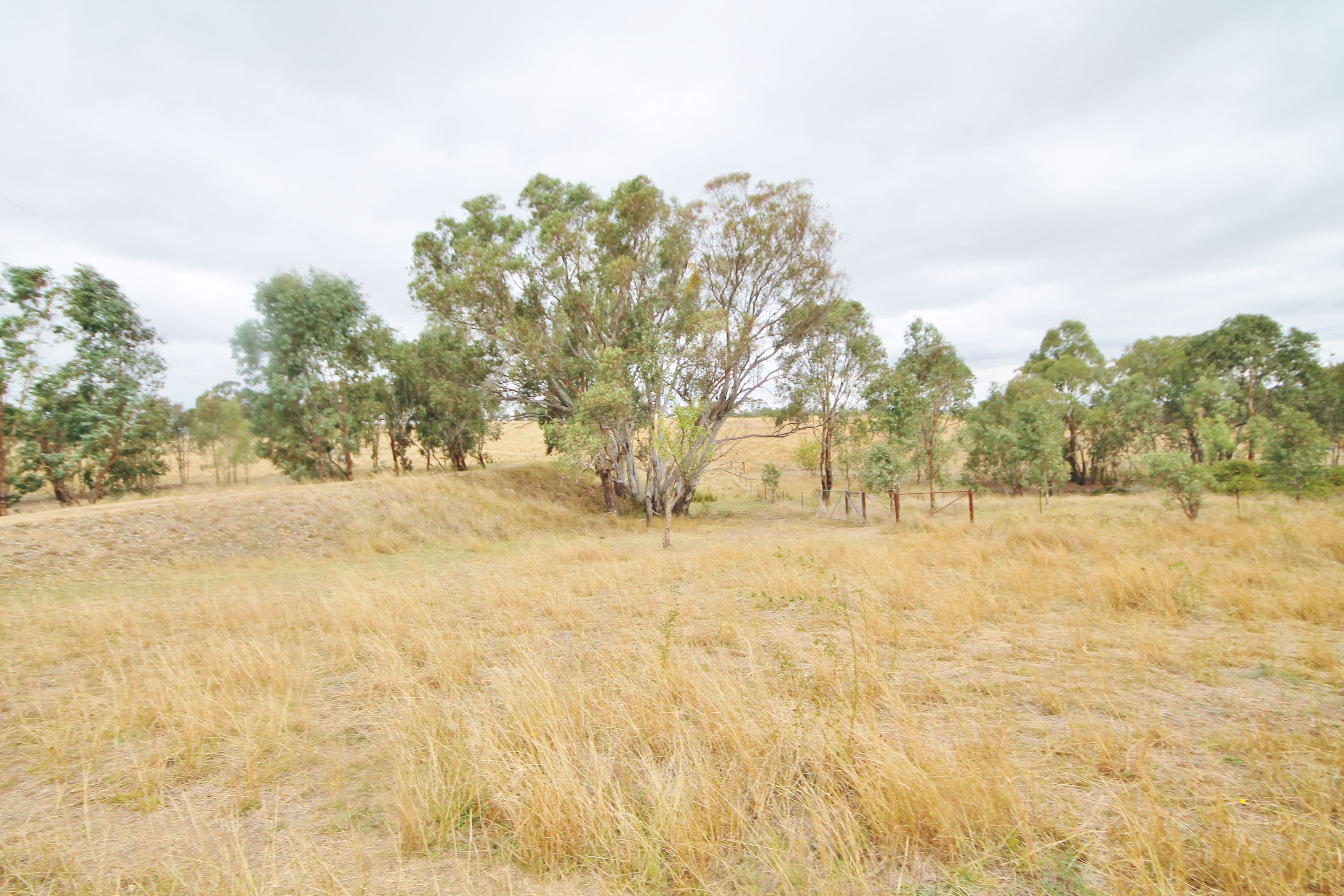 655 Olympic Highway, Young NSW 2594, Young - Thumbnail 5