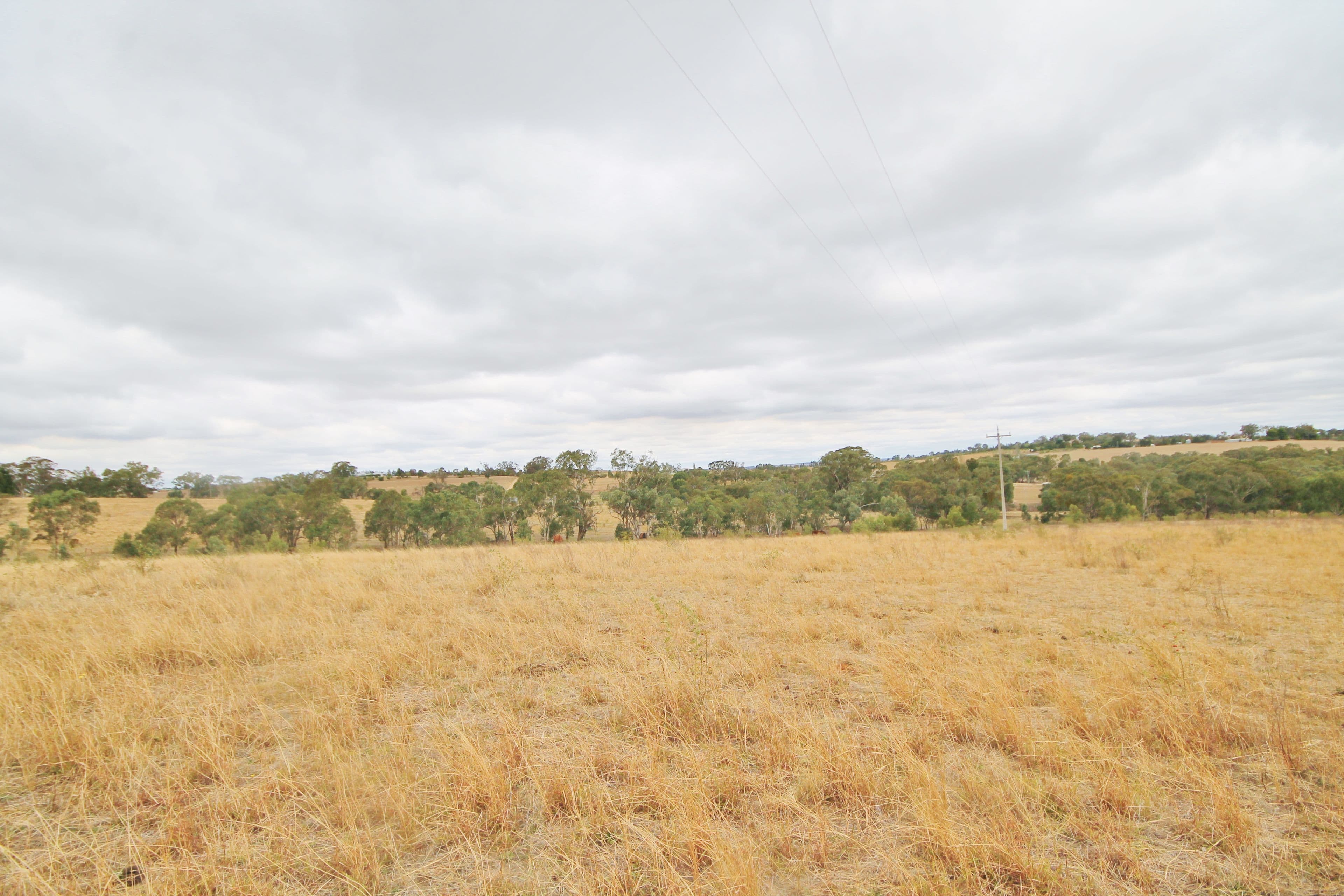 655 Olympic Highway, Young NSW 2594, Young - Thumbnail 6