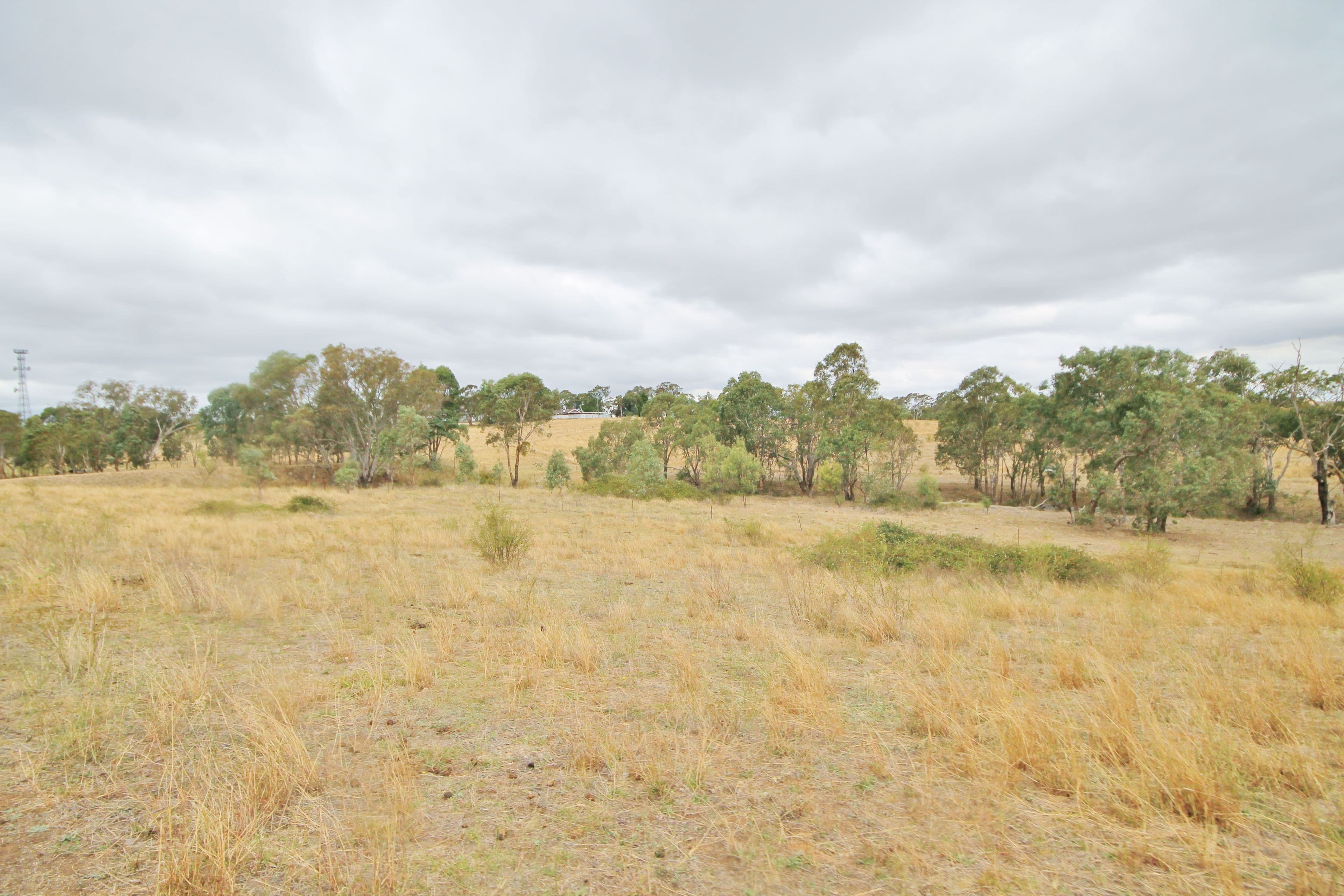 655 Olympic Highway, Young NSW 2594, Young - Thumbnail 7