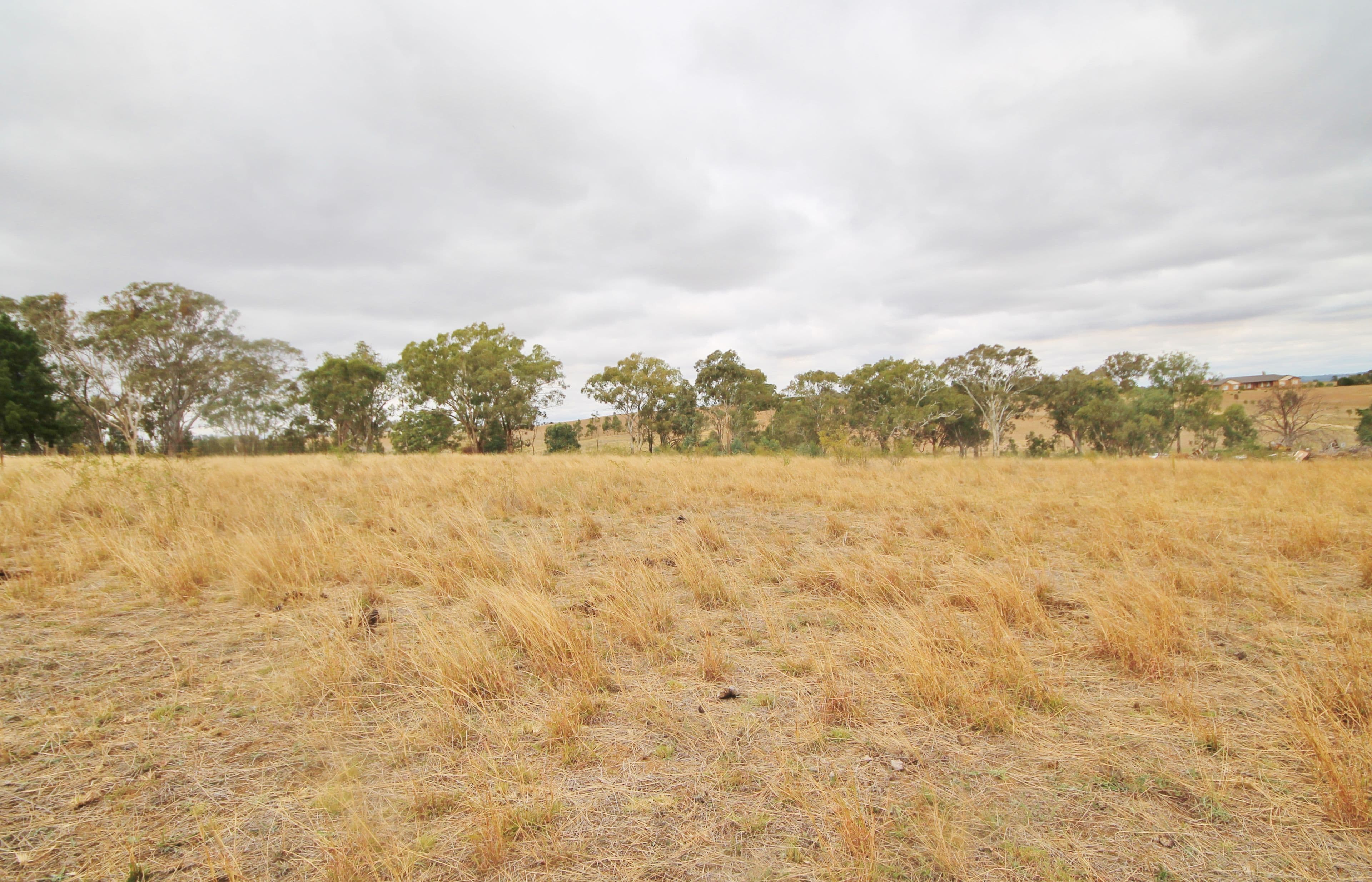 655 Olympic Highway, Young NSW 2594, Young - Thumbnail 8