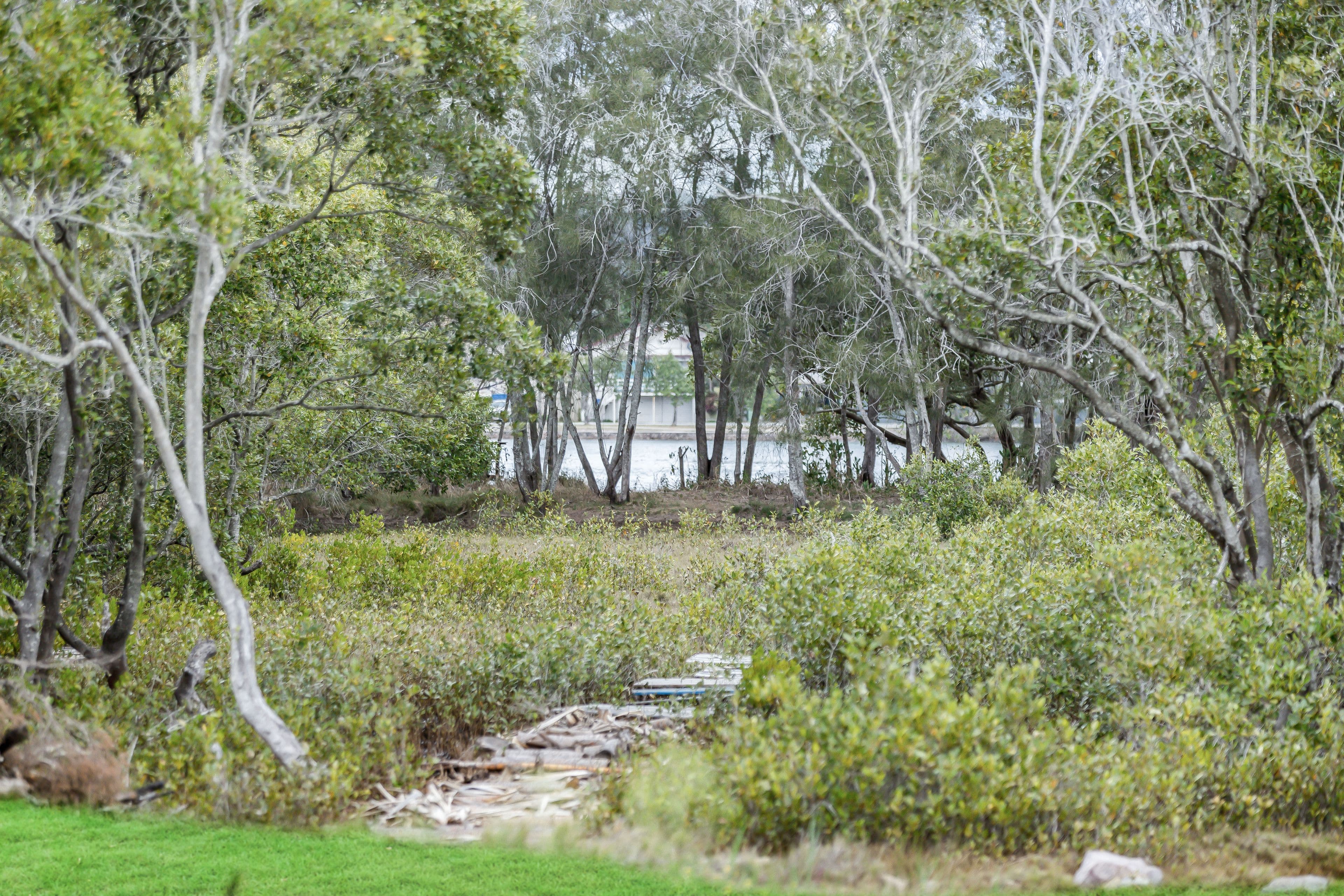 24 Waterview Crescent, Bli Bli QLD 4560, Bli Bli - Thumbnail 3