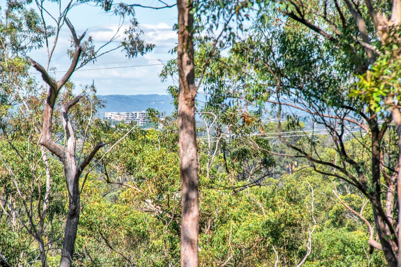 19 Matilda Road, Gaven QLD 4211, Gaven - Thumbnail 5