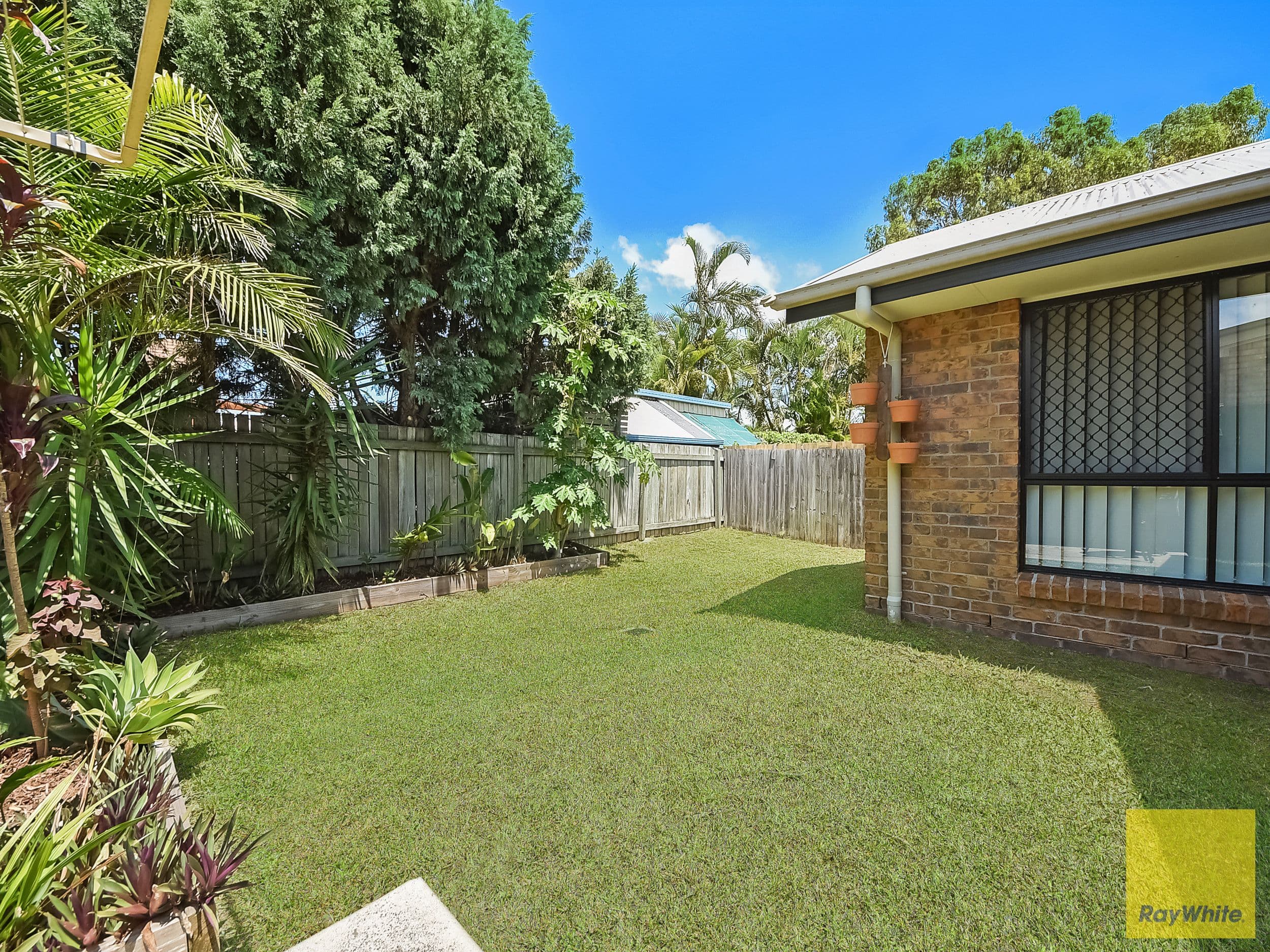 9 Trenton Court, Bracken Ridge QLD 4017, Bracken Ridge - Thumbnail 8