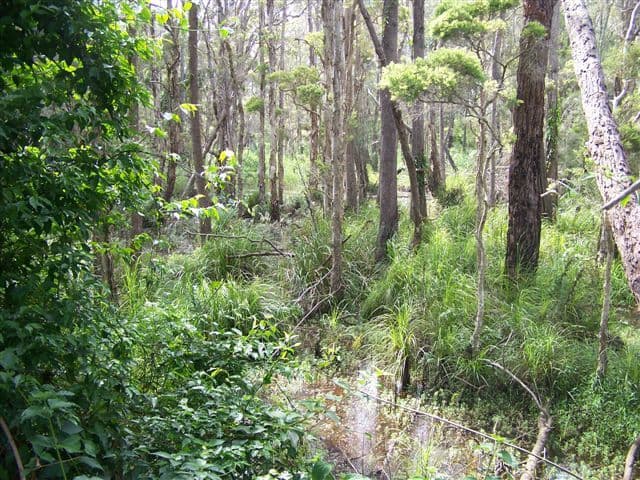 HALLIDAYS POINT NSW 2430, Hallidays Point - Thumbnail 5