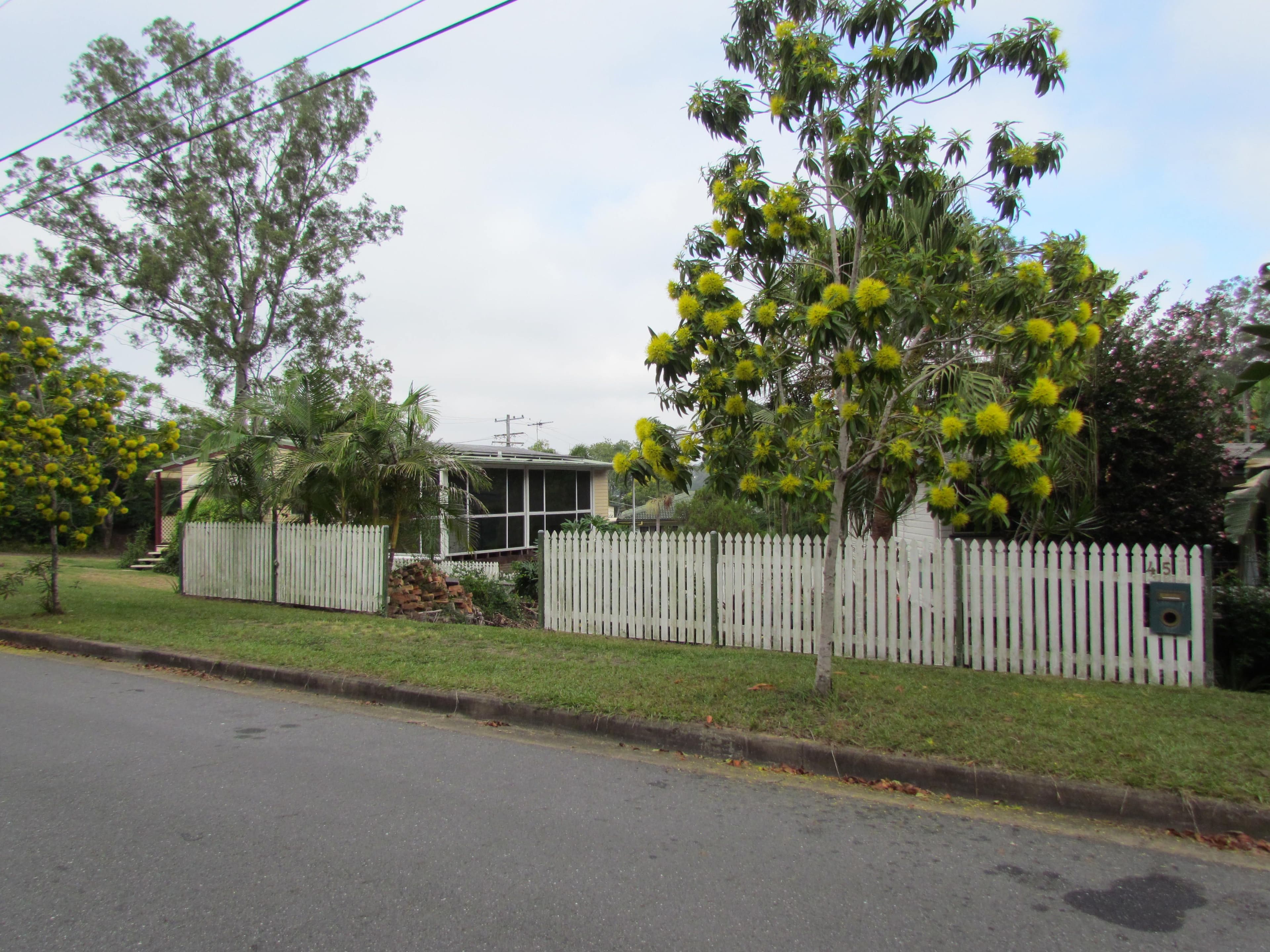 45 Almeida Street, Indooroopilly QLD 4068, Indooroopilly - Thumbnail 4