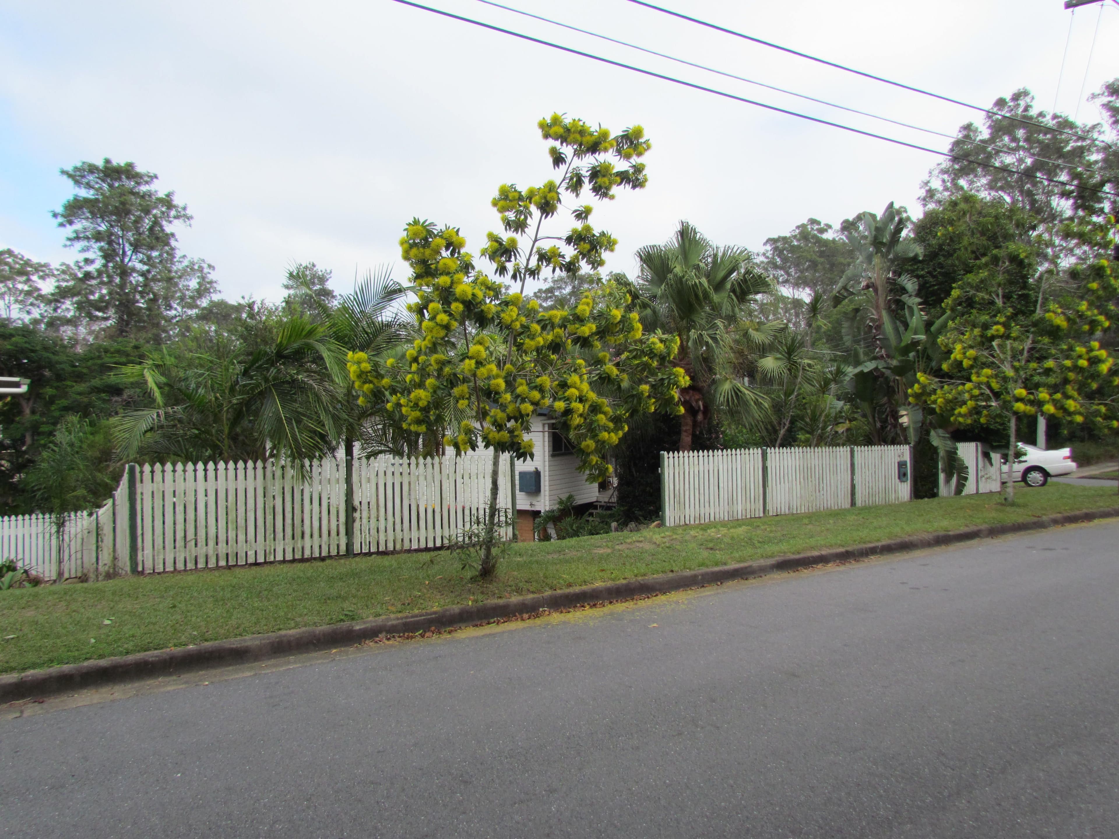 45 Almeida Street, Indooroopilly QLD 4068, Indooroopilly - Thumbnail 5