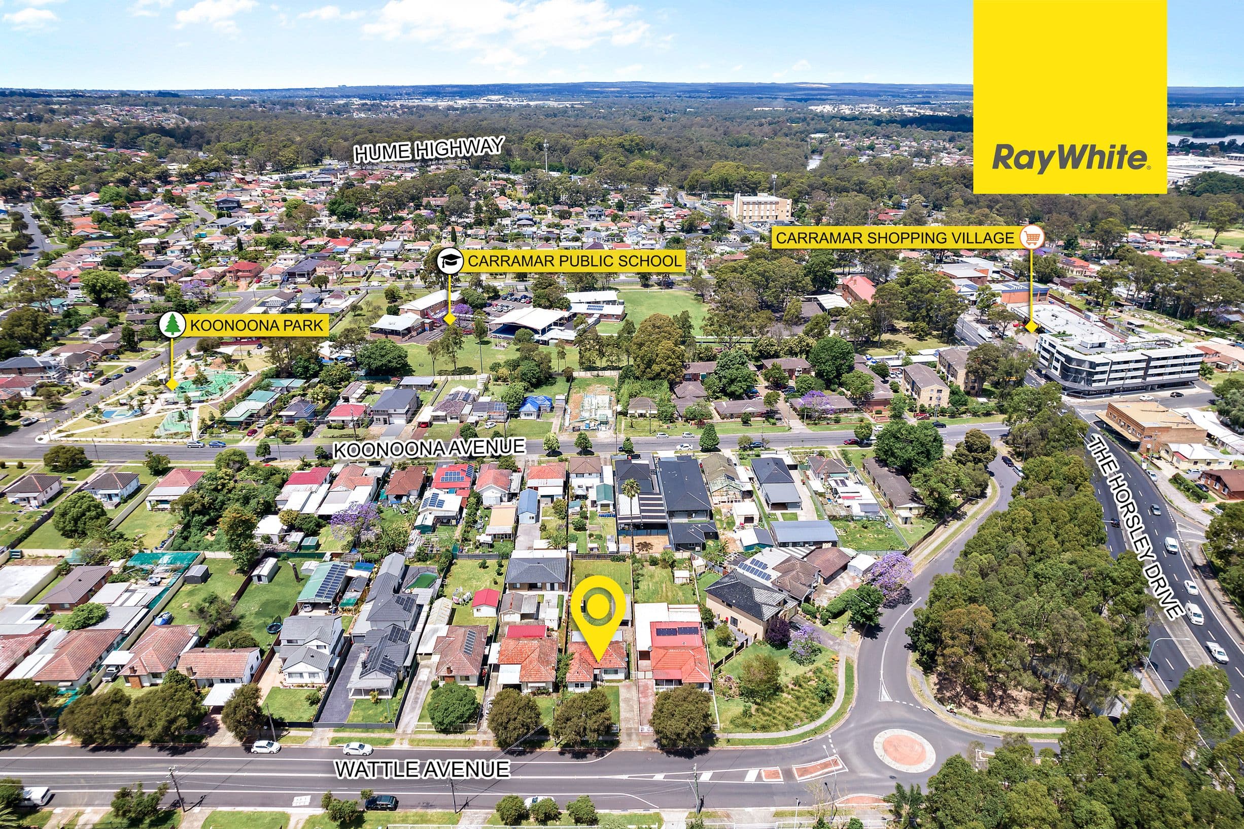 50 Wattle Avenue, Villawood NSW 2163, Villawood - Thumbnail 5