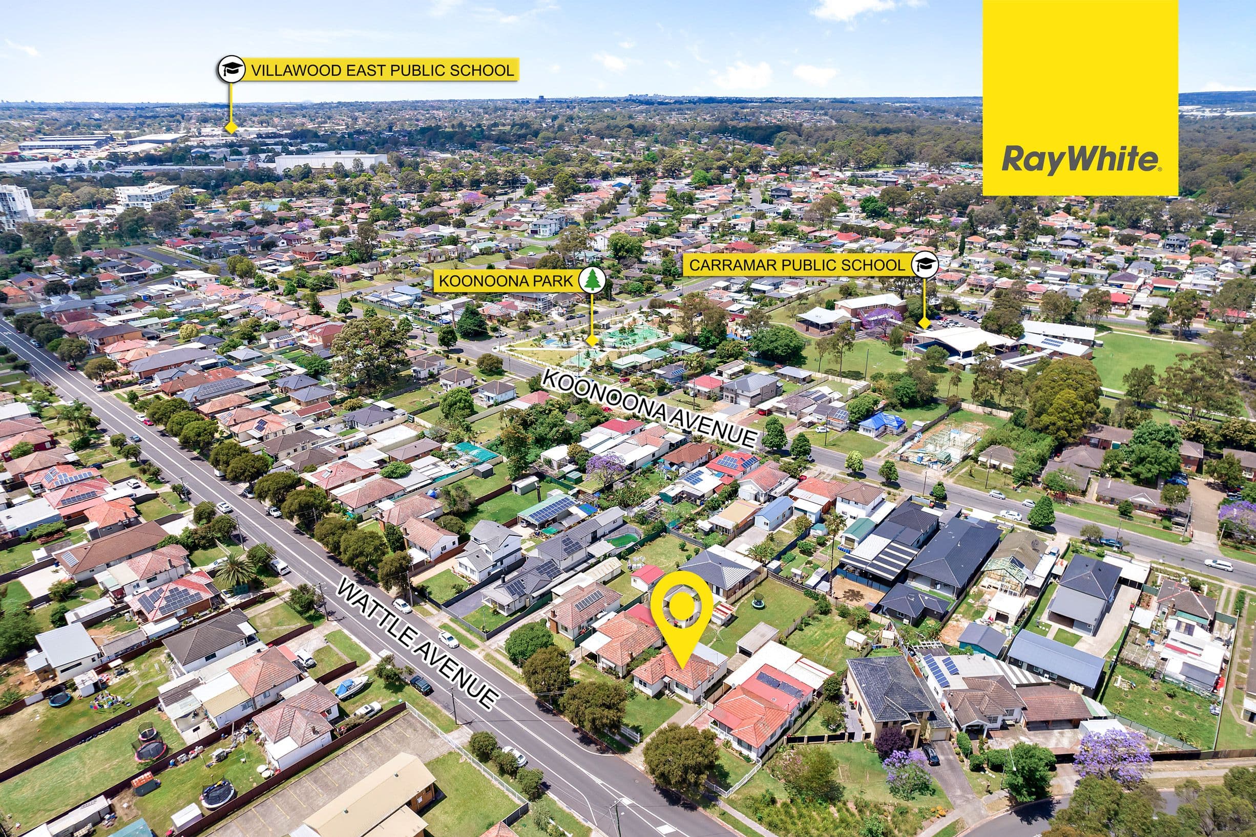 50 Wattle Avenue, Villawood NSW 2163, Villawood - Thumbnail 6