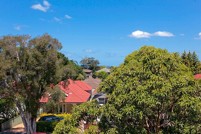 4 Monomeeth Street, Bexley NSW 2207, Bexley - Thumbnail 8