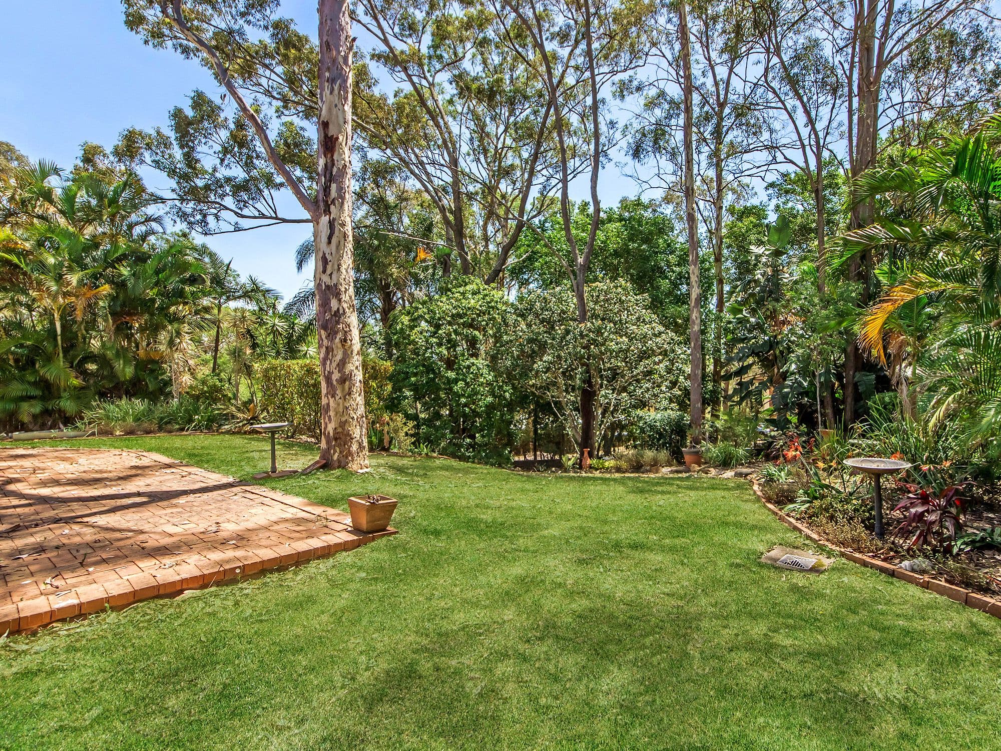 19 Adaminaby Drive, Helensvale QLD 4212, Helensvale - Thumbnail 4