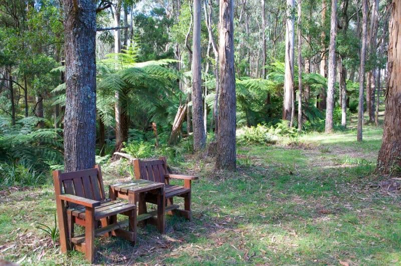 26 Kimberley Drive, BOWRAL NSW 2576, Bowral - Thumbnail 3