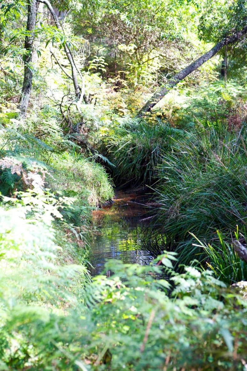 26 Kimberley Drive, BOWRAL NSW 2576, Bowral - Thumbnail 7