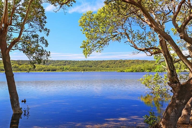 8 Arrunga Close, Davistown - Thumbnail 3