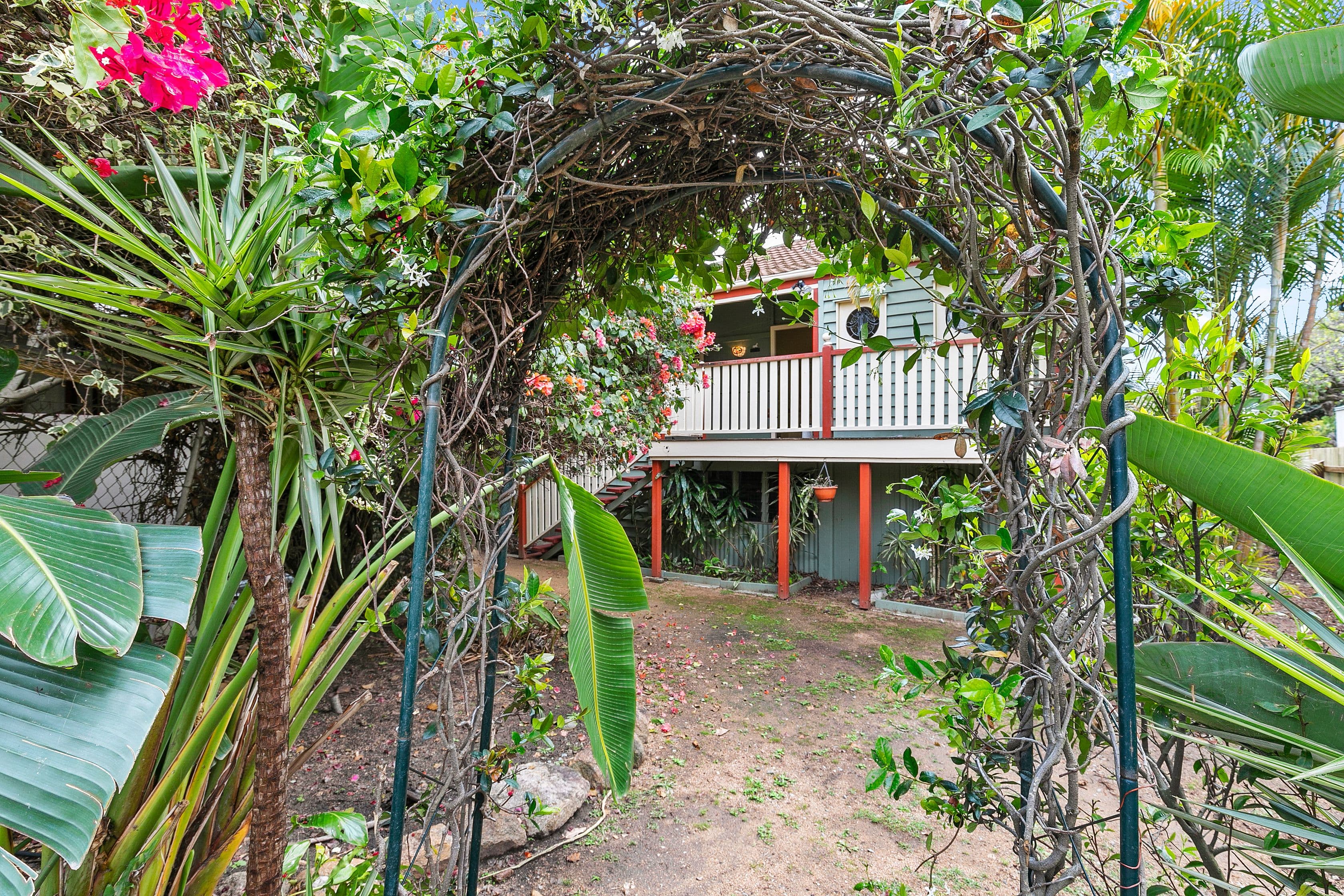 64 Lilley Street, Hendra QLD 4011, Hendra - Thumbnail 6