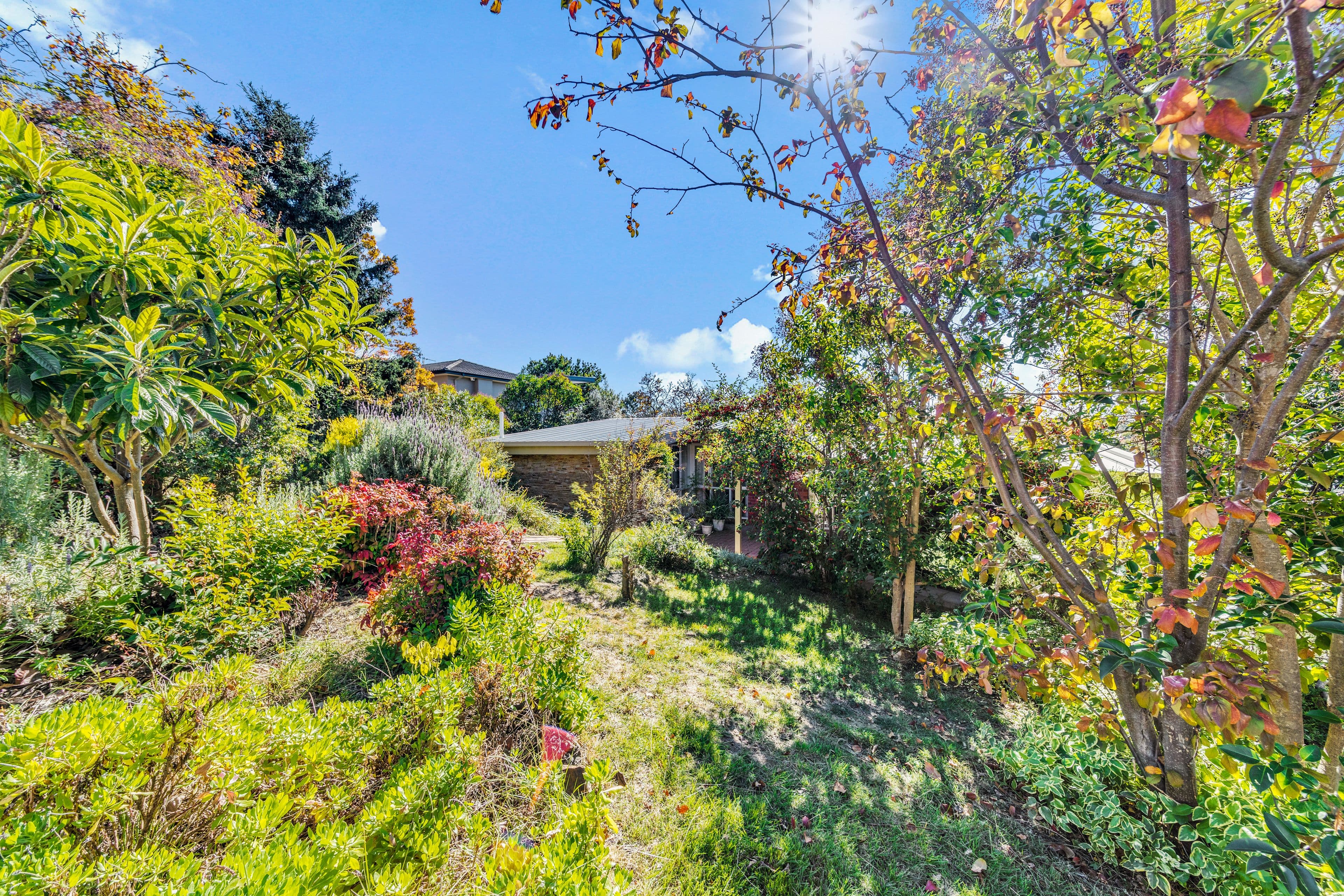 4 Brid Place, Lyons ACT 2606, Lyons - Image 1