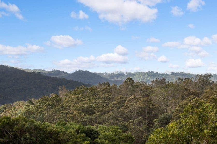 1972 Maleny-Stanley River Road, Booroobin QLD 4552, Booroobin - Thumbnail 3