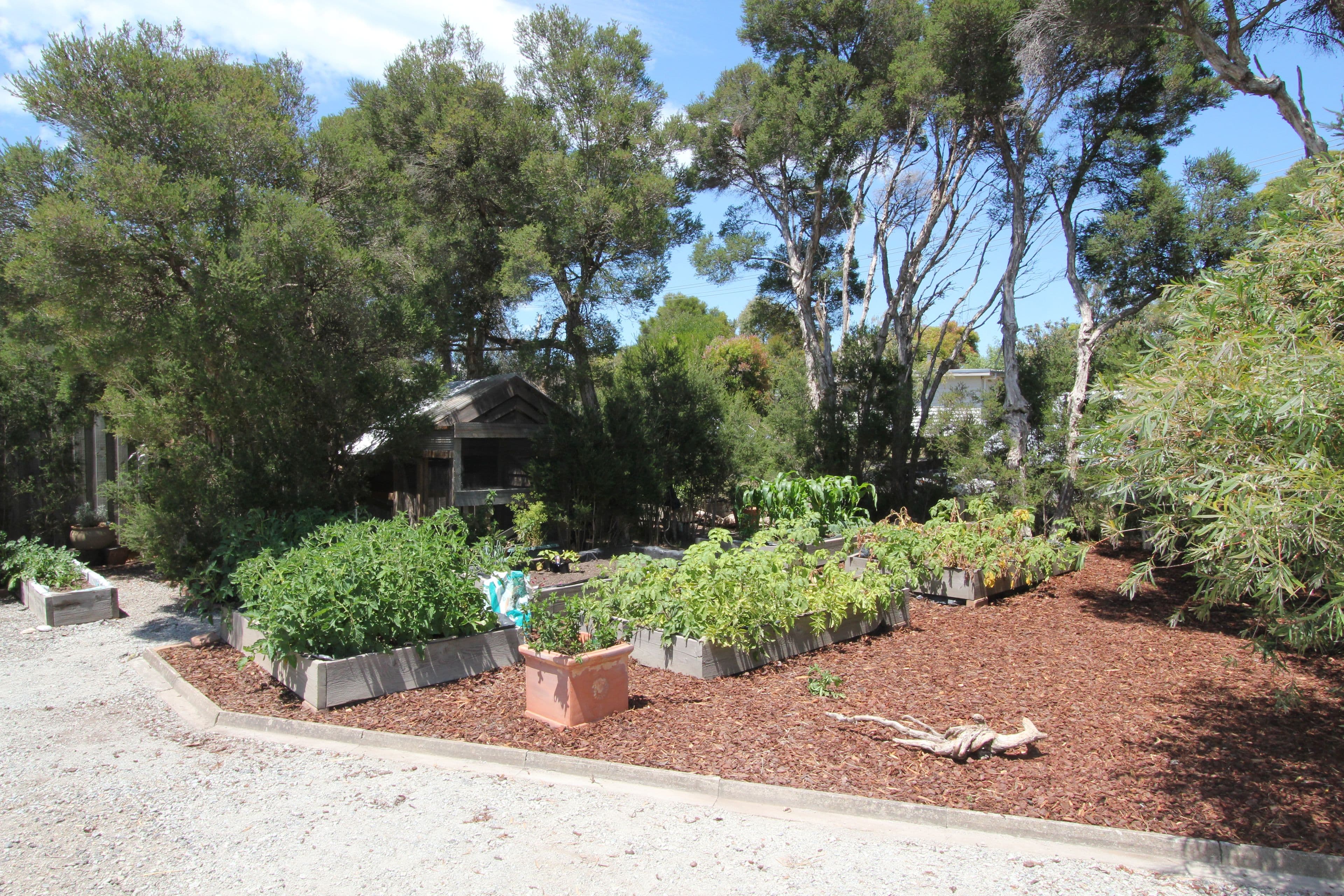 52 Happy Valley Drive, Sunset Strip VIC 3922, Sunset Strip - Thumbnail 2