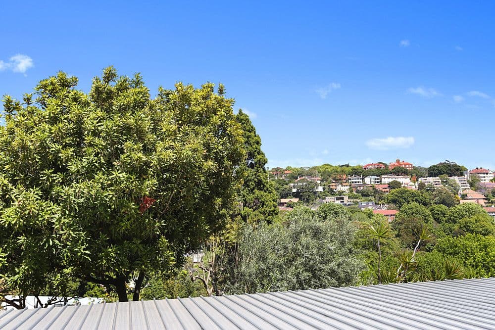 142 Bellevue Road, Bellevue Hill - Thumbnail 6