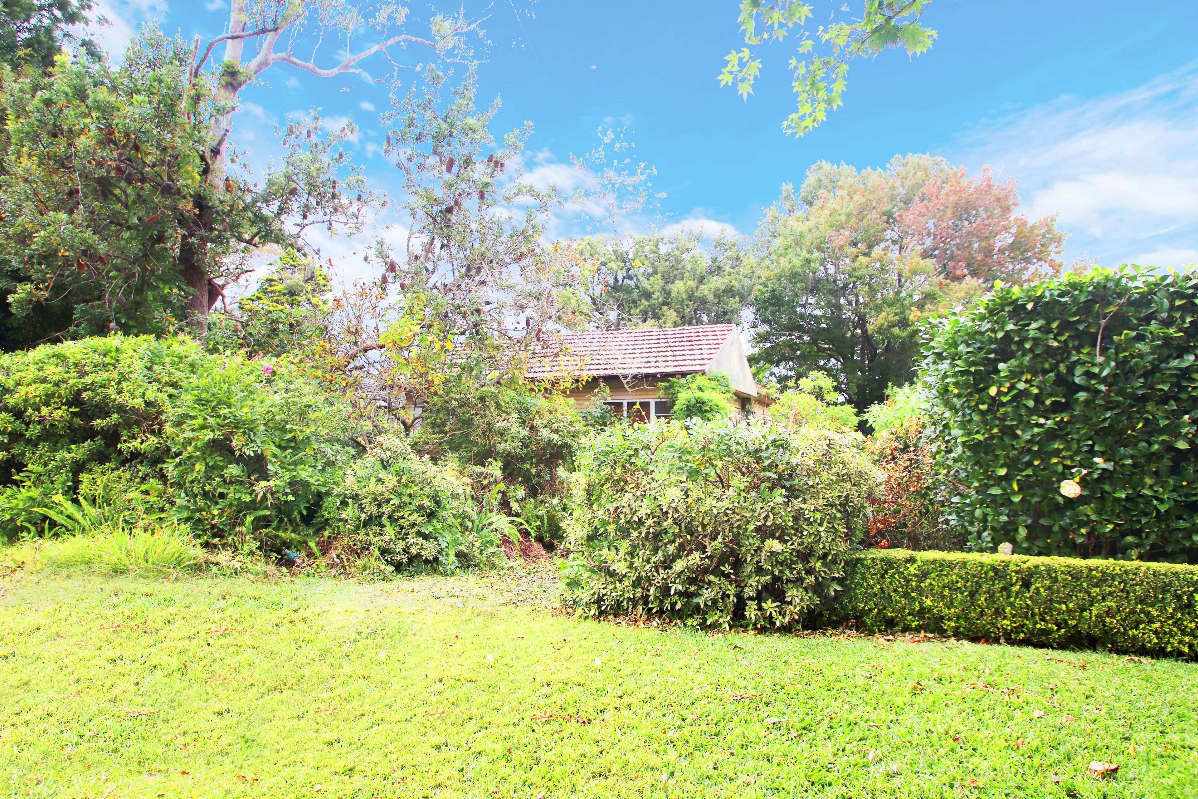 31 Catherine Street, St Ives NSW 2075, St Ives - Thumbnail 2
