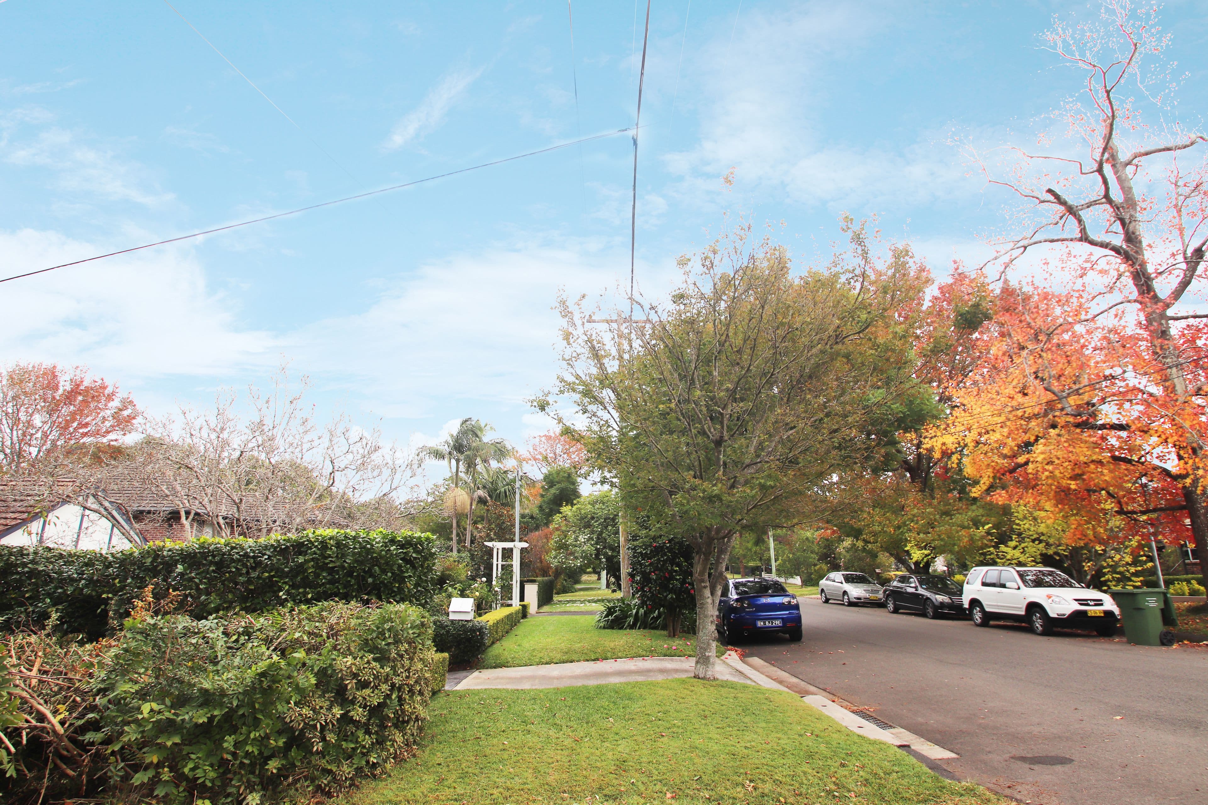 31 Catherine Street, St Ives NSW 2075, St Ives - Thumbnail 4