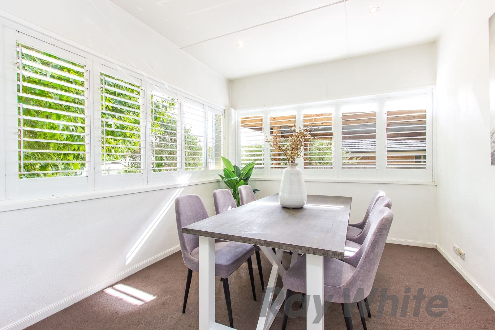 10 Parker Street, Hillsborough - Thumbnail 4