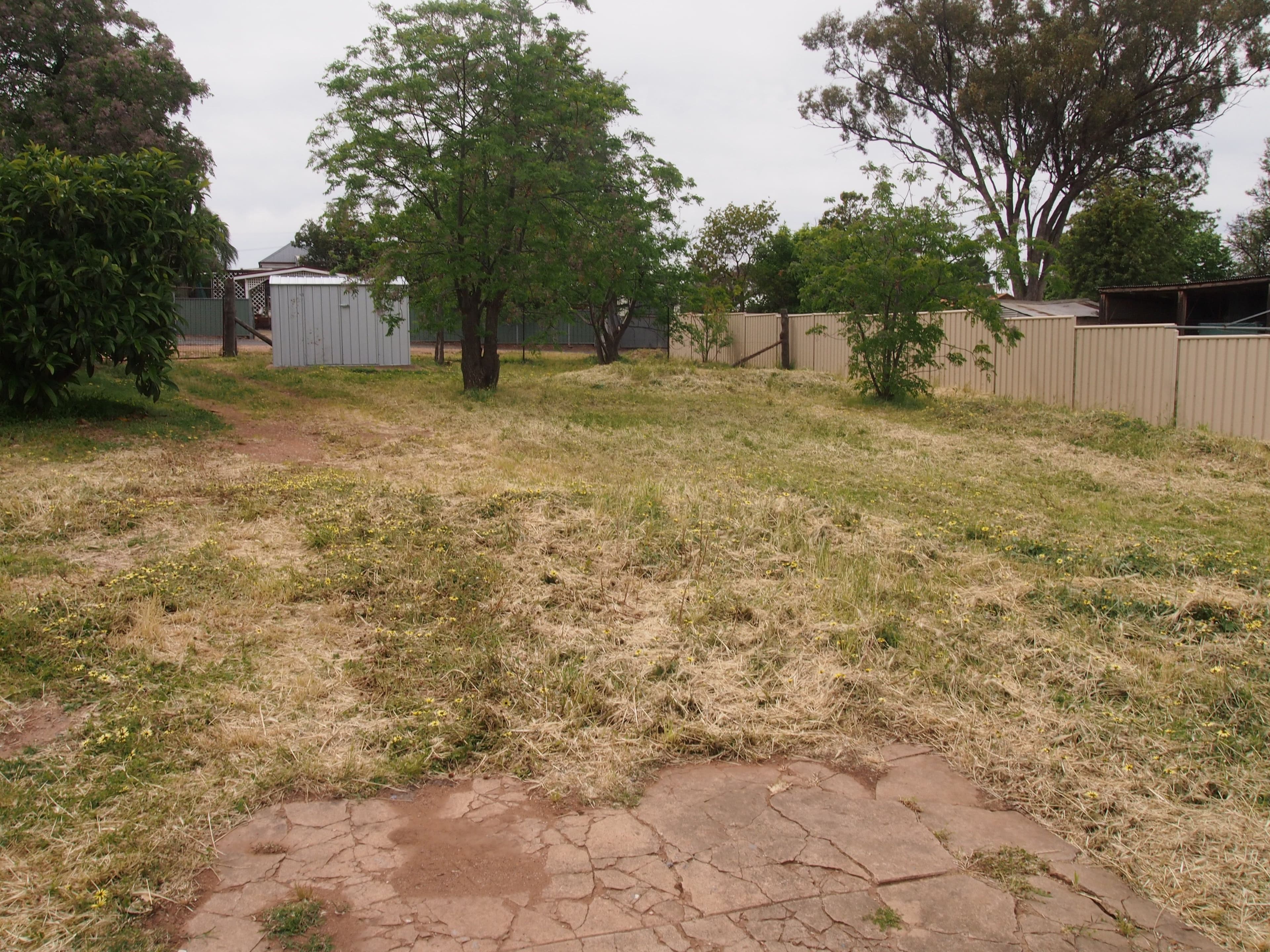 13 Napier Street, Condobolin NSW 2877, Condobolin - Thumbnail 8