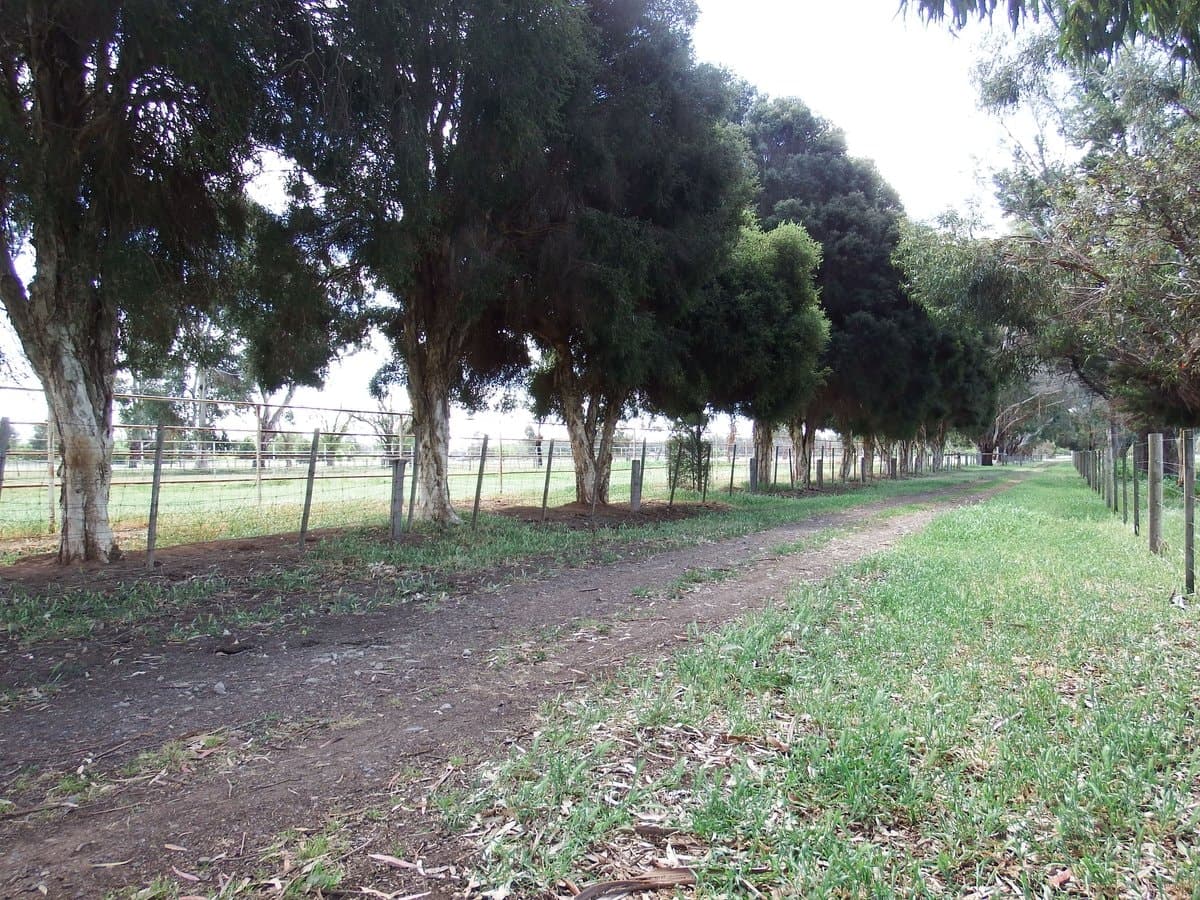 755 Doyles Road, Kialla, Kialla - Thumbnail 6