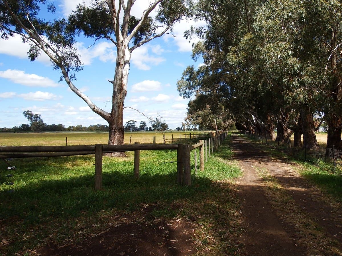 755 Doyles Road, Kialla, Kialla - Thumbnail 7