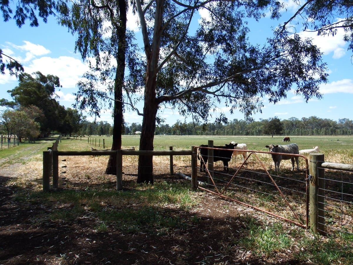 755 Doyles Road, Kialla, Kialla - Thumbnail 8