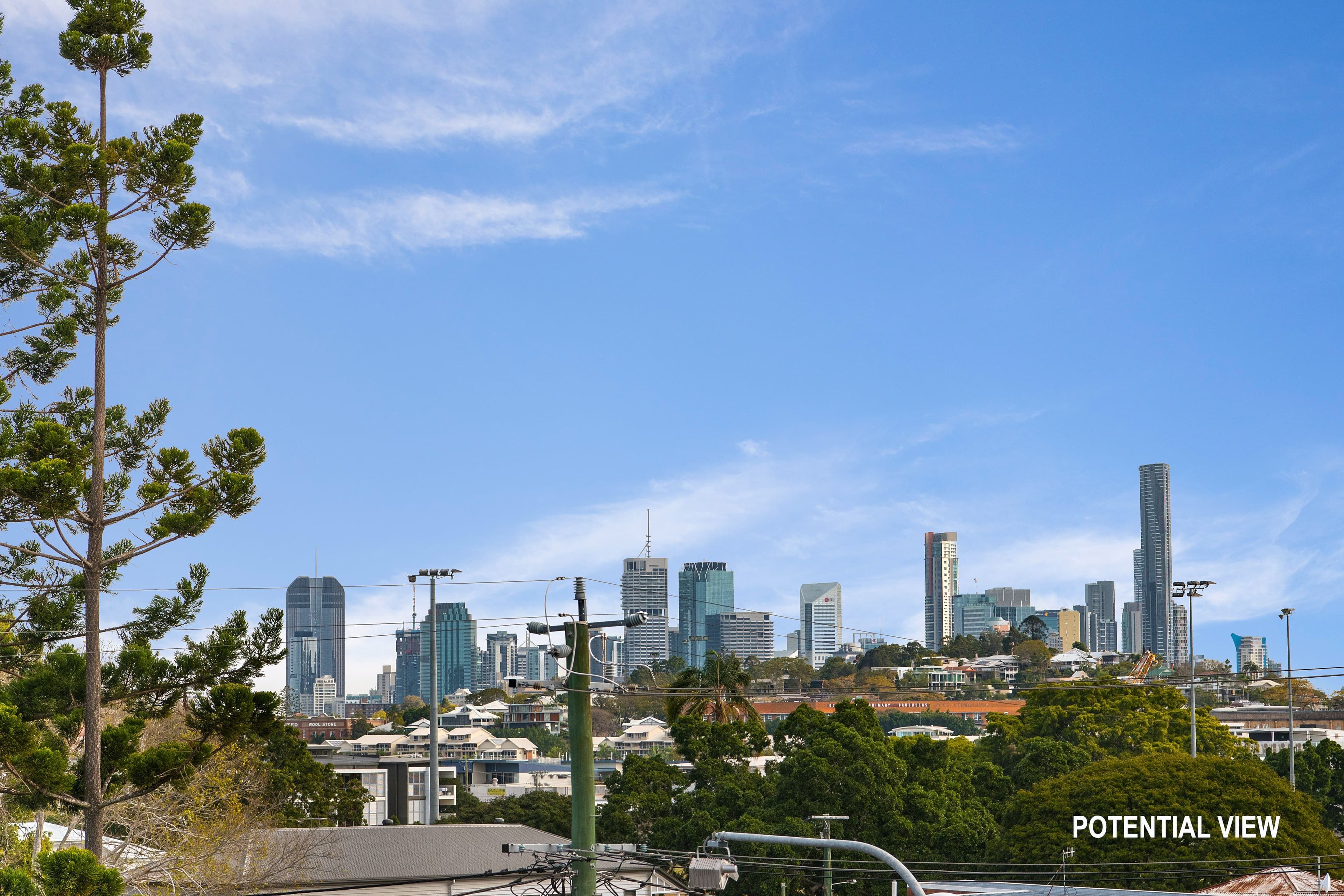 11 Pine Street, Bulimba QLD 4171, Bulimba - Thumbnail 5