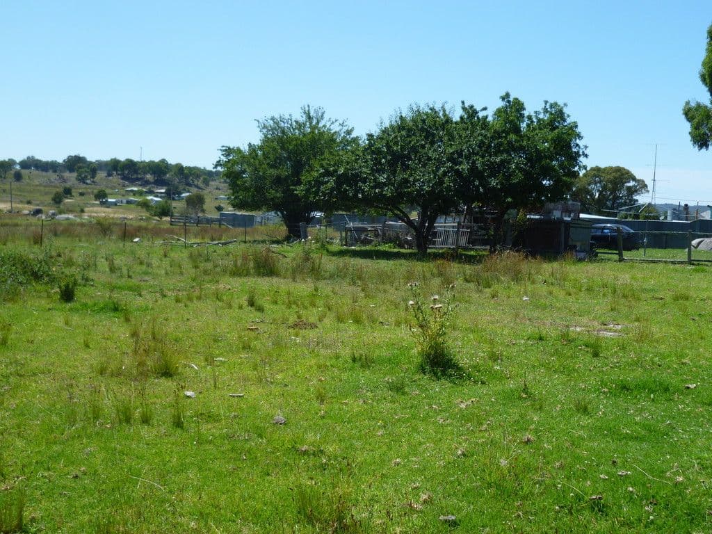 14006 Guyra Road, Tingha NSW 2369, Tingha - Thumbnail 2