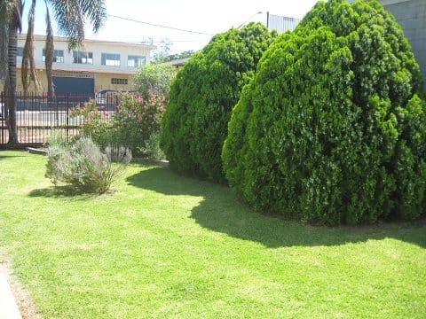 39 Aberford Street, COONAMBLE NSW 2829, Coonamble - Thumbnail 2