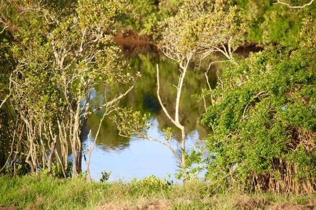 89 Newby Road, Pampoolah NSW 2430, Pampoolah - Thumbnail 2