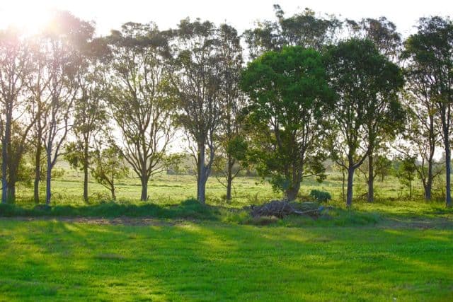 89 Newby Road, Pampoolah NSW 2430, Pampoolah - Thumbnail 4