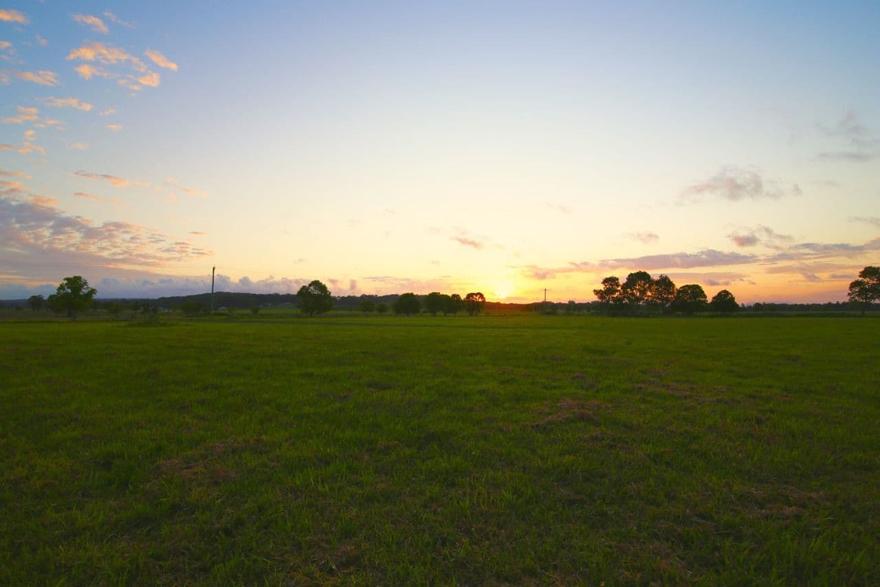 89 Newby Road, Pampoolah NSW 2430, Pampoolah - Thumbnail 6