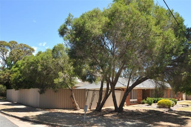 10 Davenport Street, BANKSIA PARK SA 5091, Banksia Park - Thumbnail 3