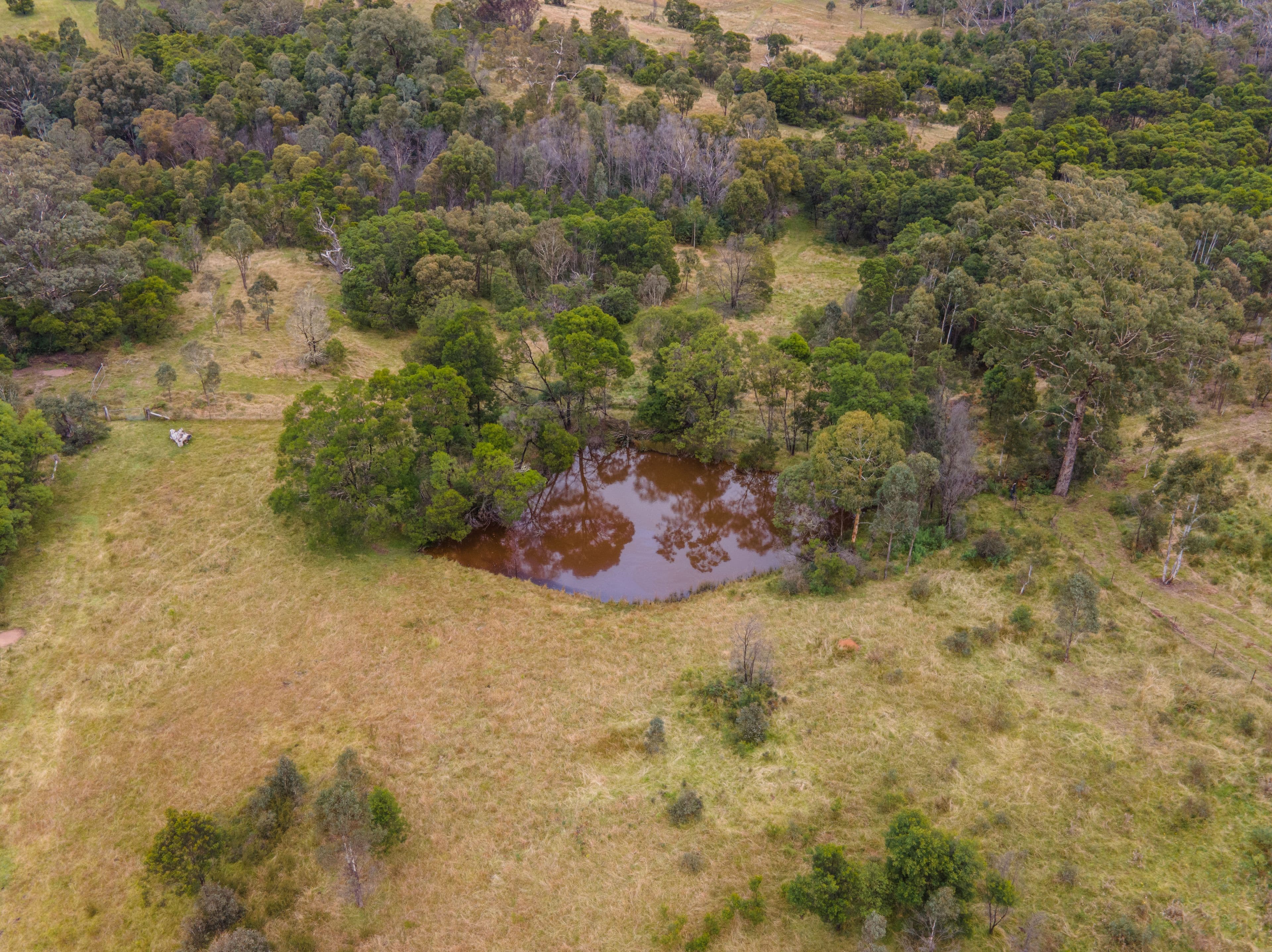 Lot 61 Oallen Road, Nerriga NSW 2622, Nerriga - Thumbnail 2