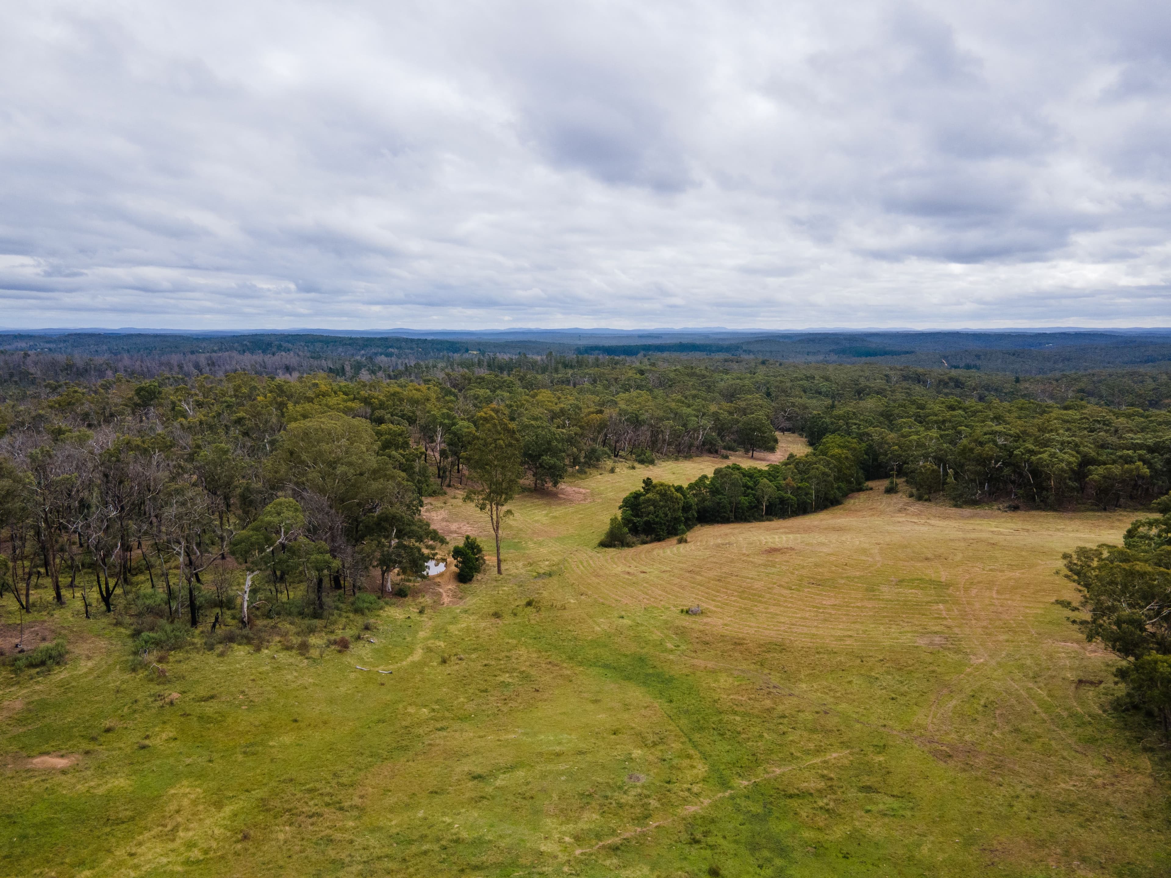 Lot 61 Oallen Road, Nerriga NSW 2622, Nerriga - Thumbnail 3