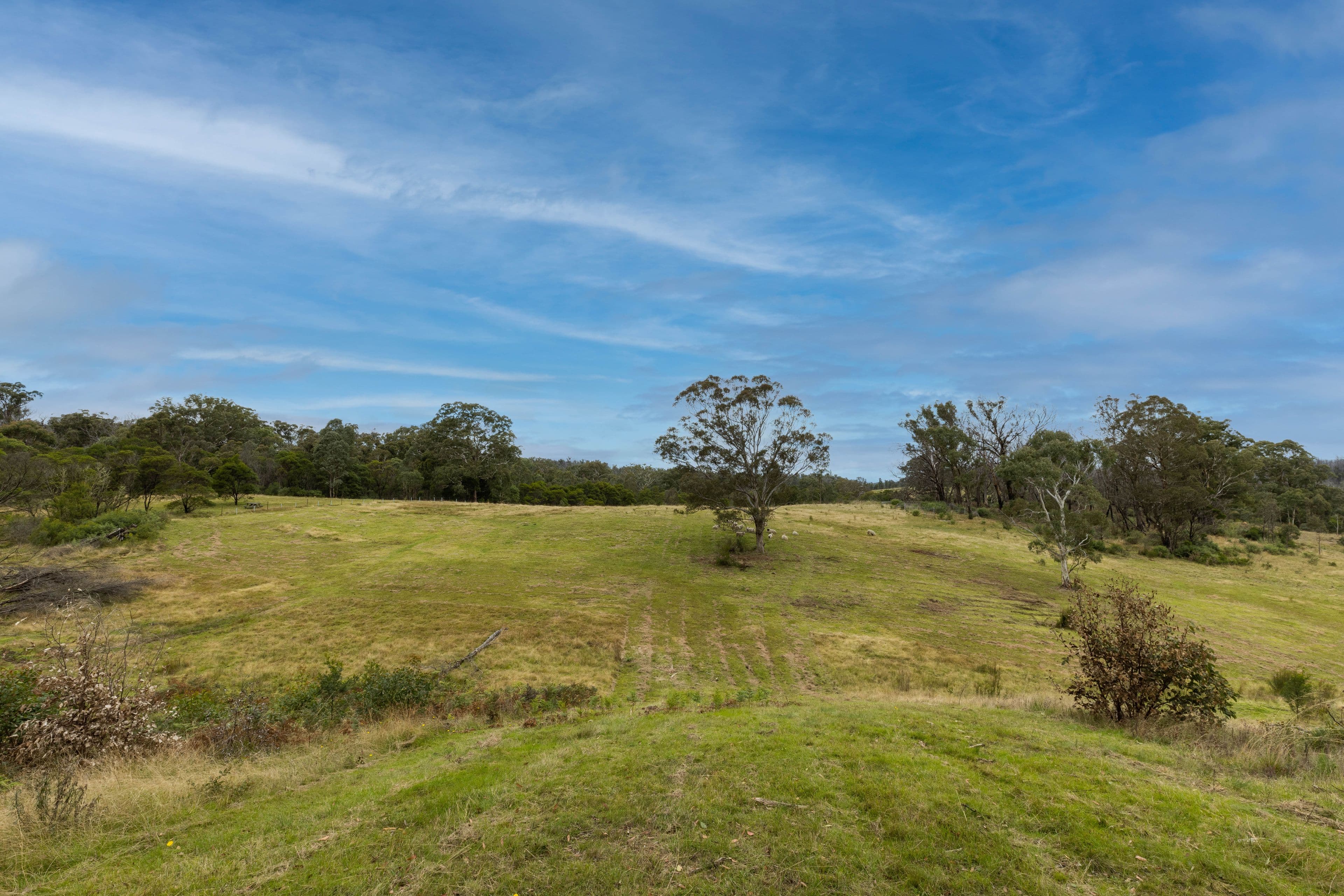 Lot 61 Oallen Road, Nerriga NSW 2622, Nerriga - Thumbnail 8