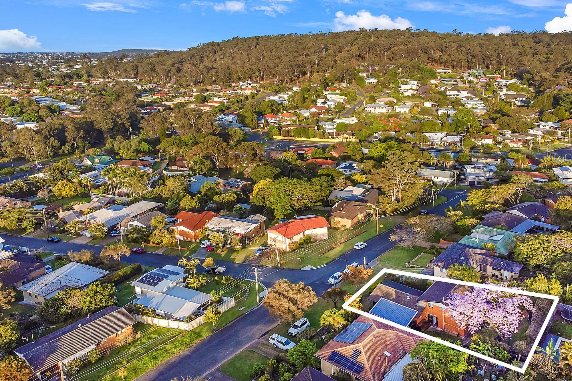 142 Fegen Drive, Moorooka QLD 4105, Moorooka - Thumbnail 6