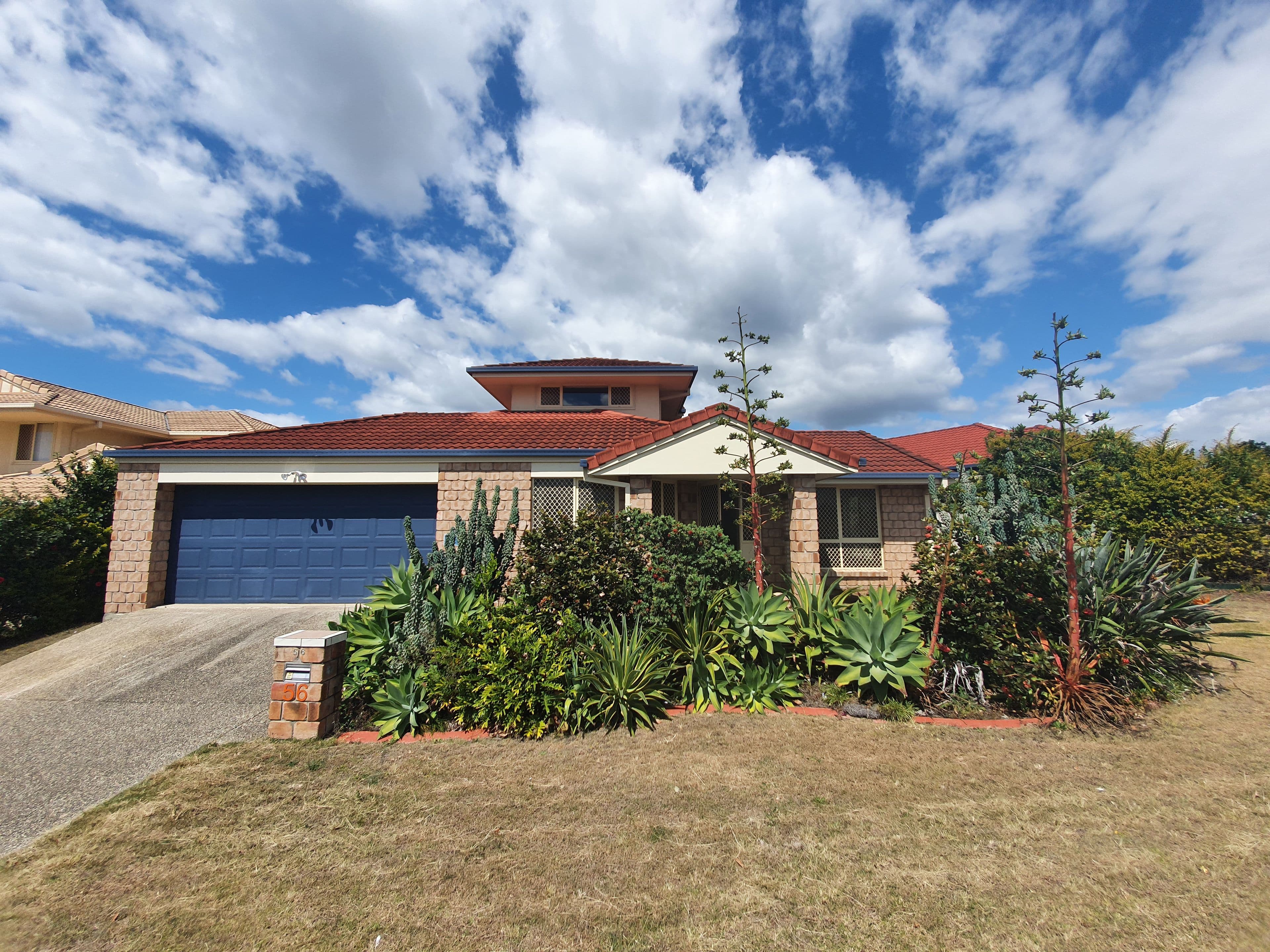 56 Bedivere Drive, Ormeau QLD 4208, Ormeau - Image 1